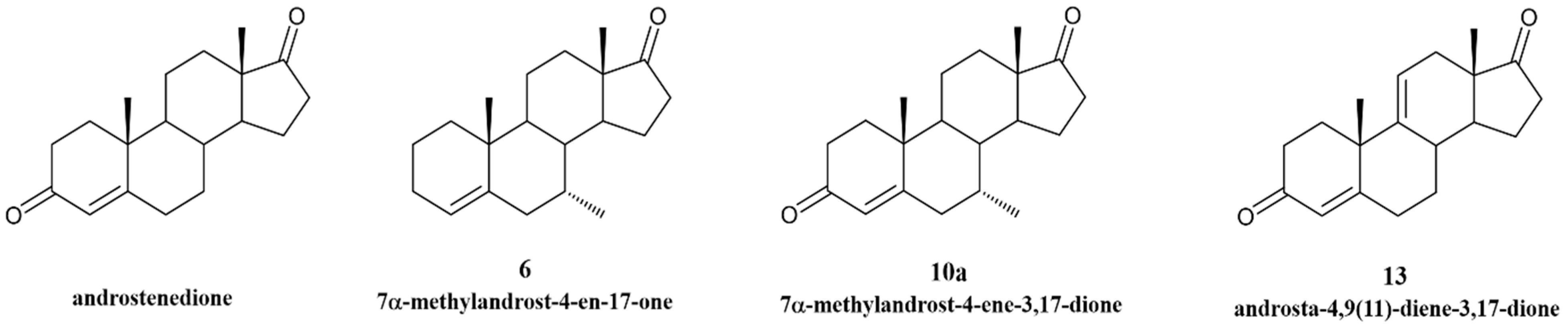Cancers 17 00165 g001 Cancers 17 00165 g001