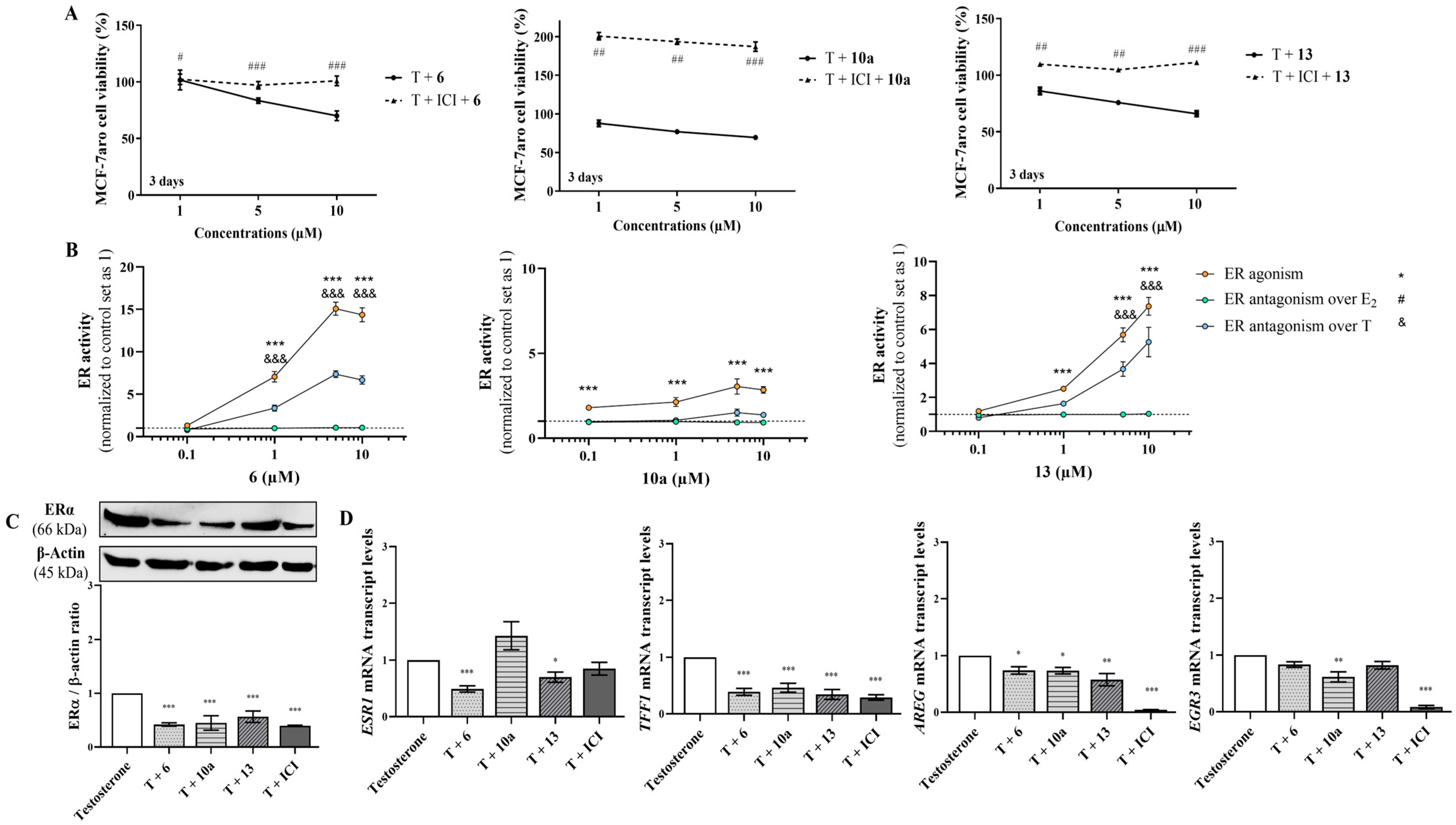 Cancers 17 00165 g006 Cancers 17 00165 g006