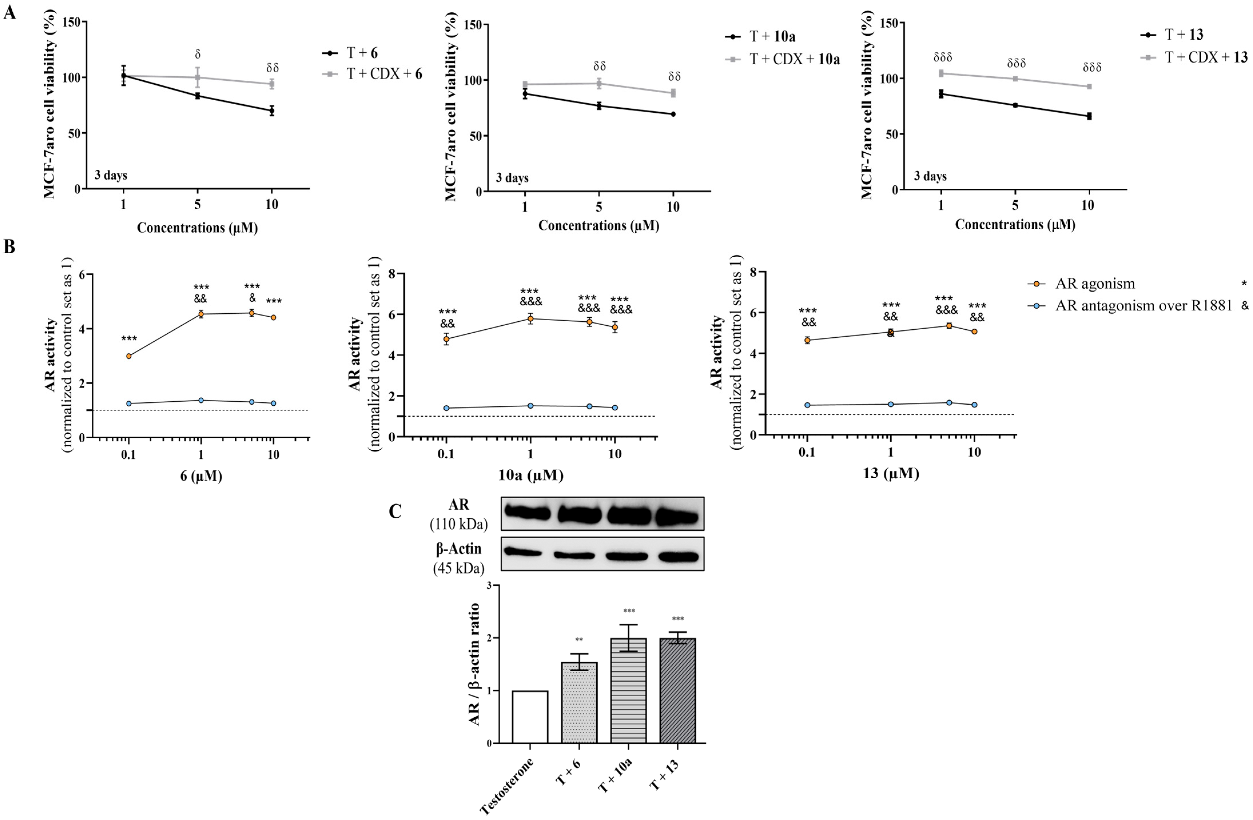Cancers 17 00165 g007 Cancers 17 00165 g007