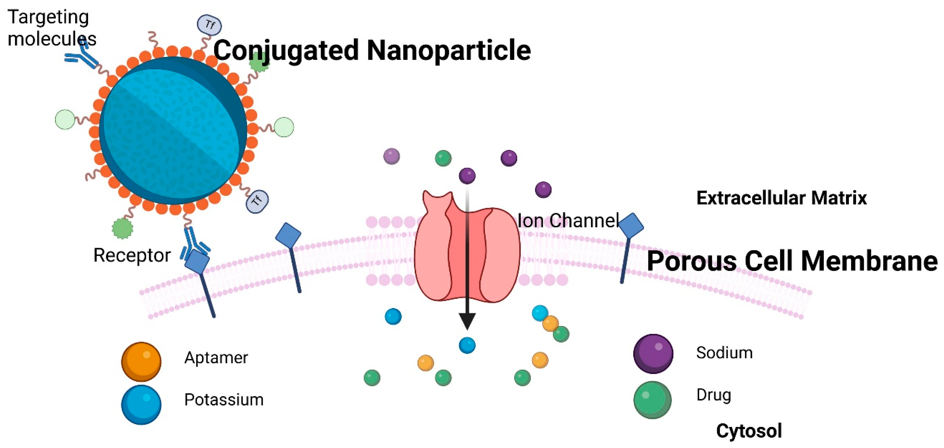 Cancers 17 00198 g003