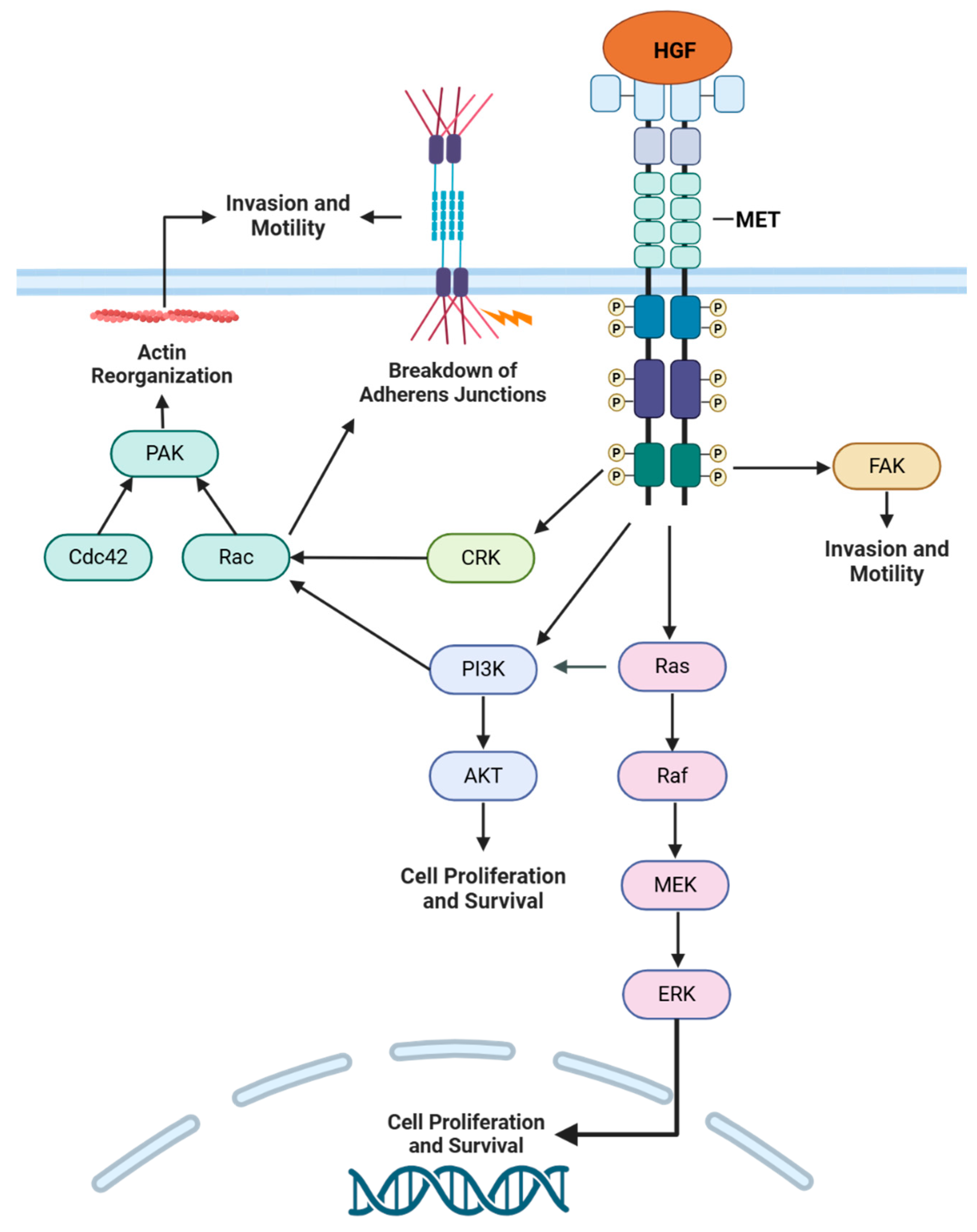 Cancers 17 00281 g004 Cancers 17 00281 g004