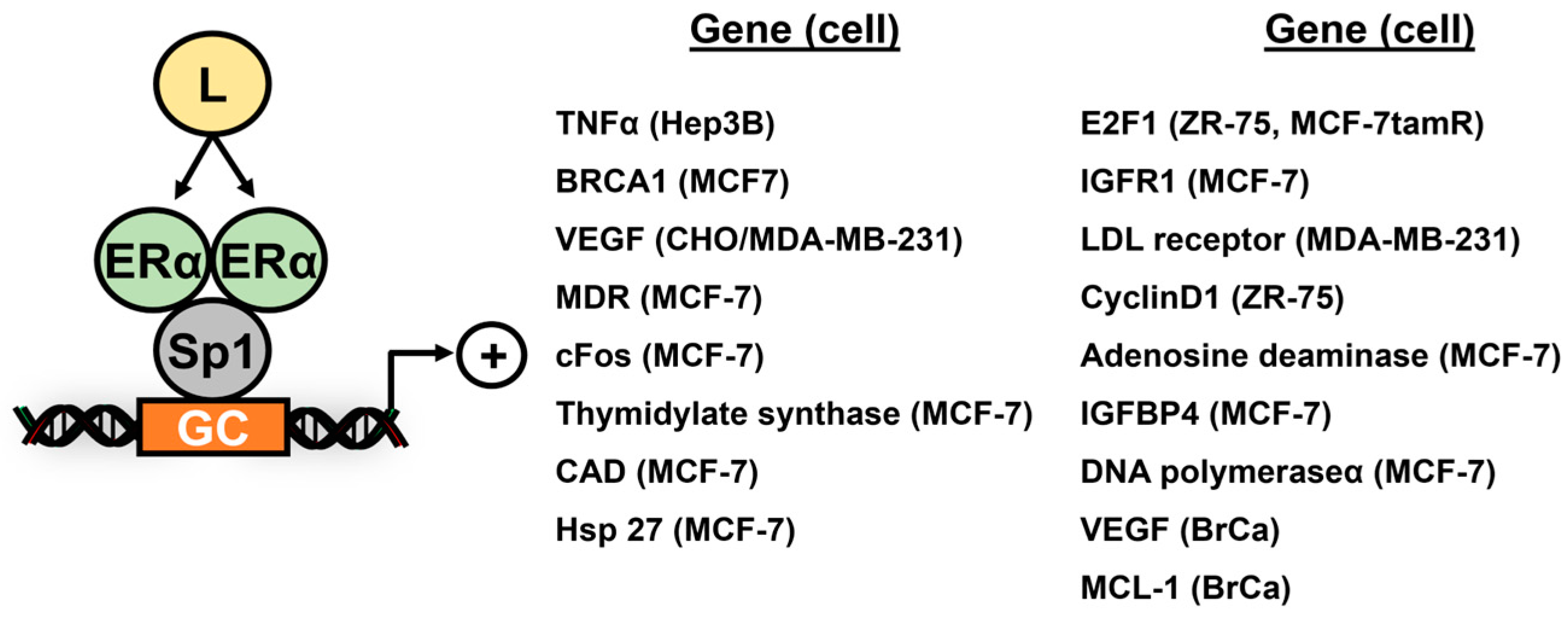 Cancers 17 00284 g002 Cancers 17 00284 g002