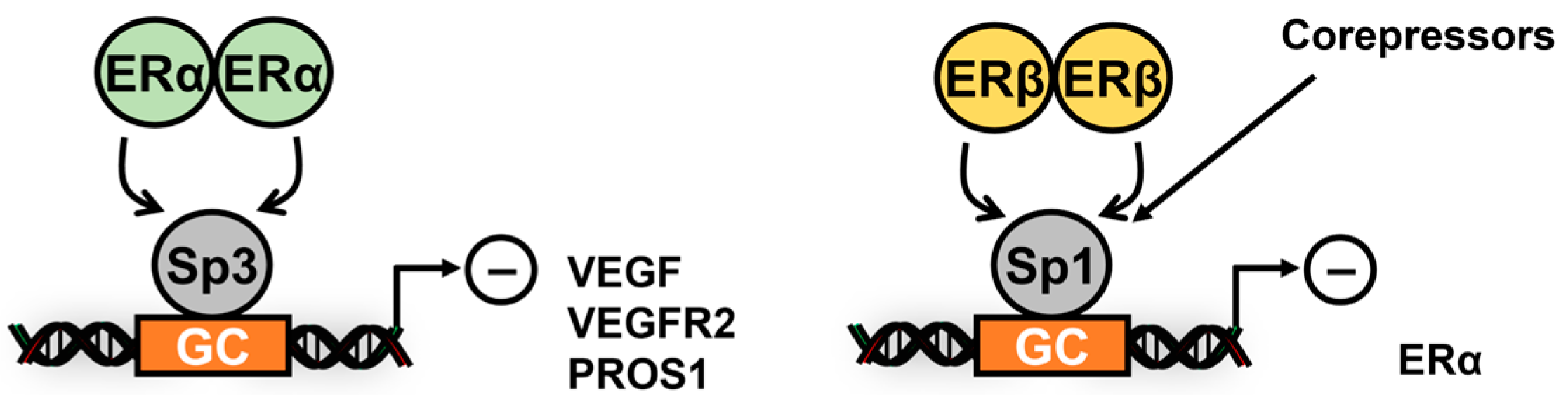 Cancers 17 00284 g003 Cancers 17 00284 g003