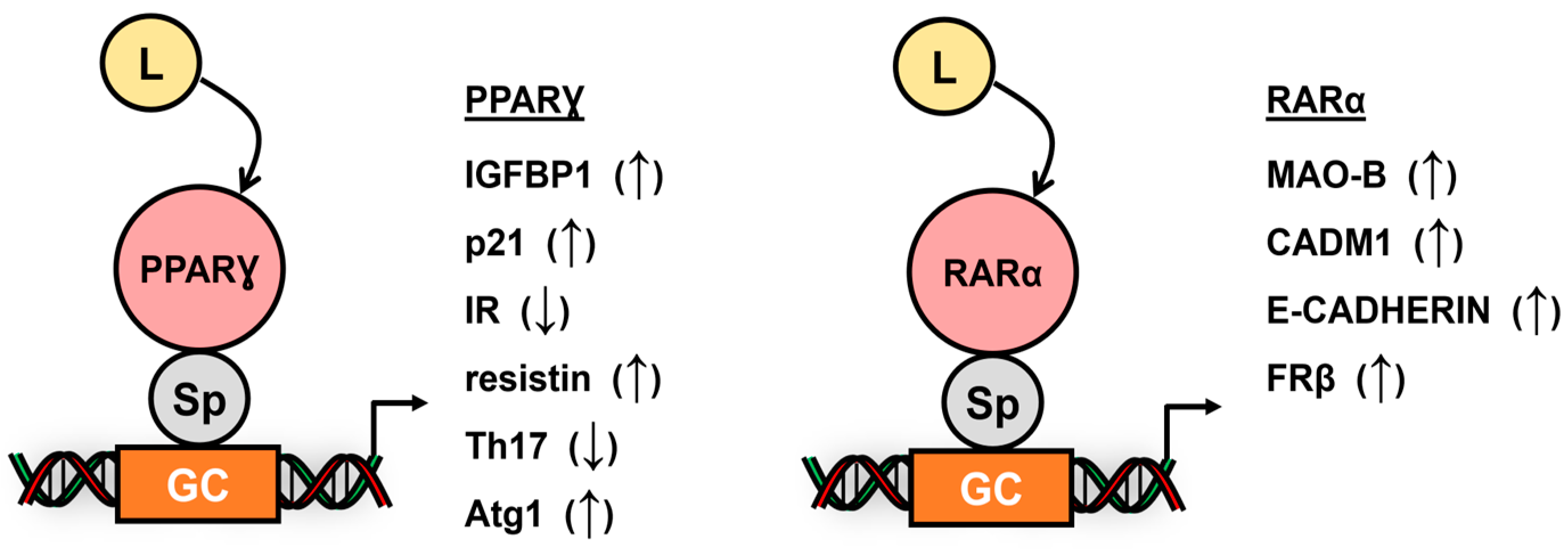 Cancers 17 00284 g005 Cancers 17 00284 g005