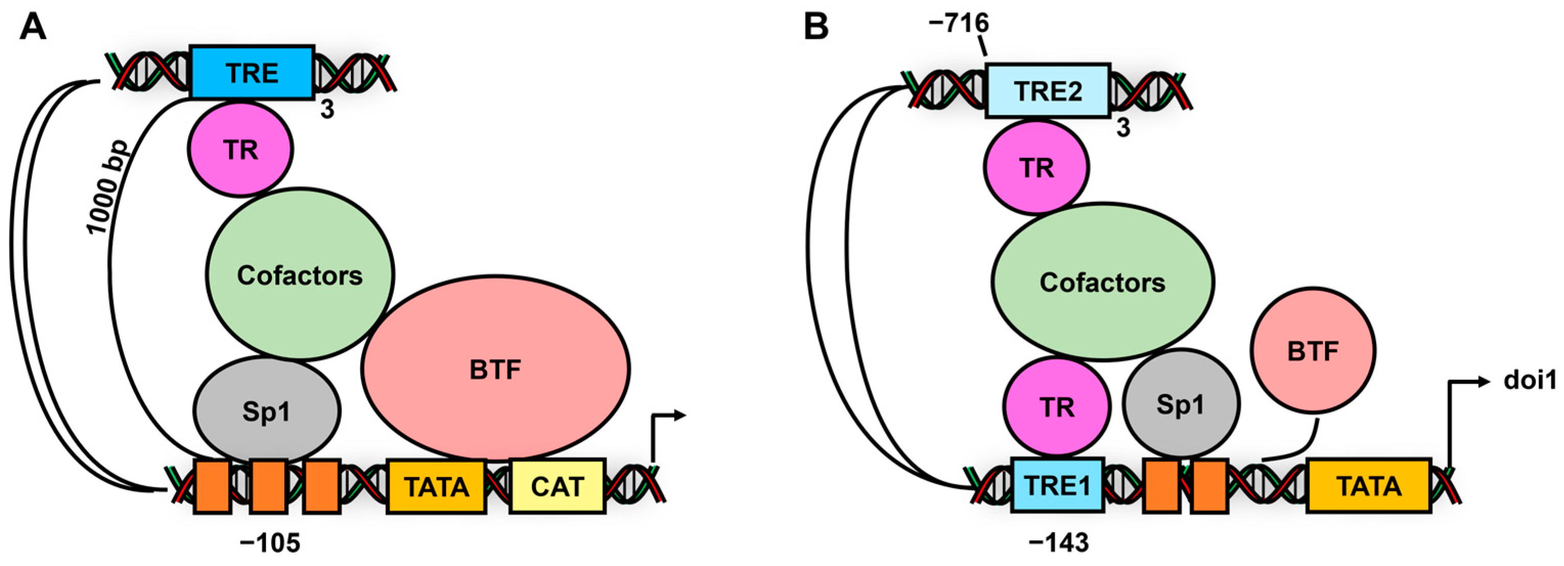 Cancers 17 00284 g006 Cancers 17 00284 g006