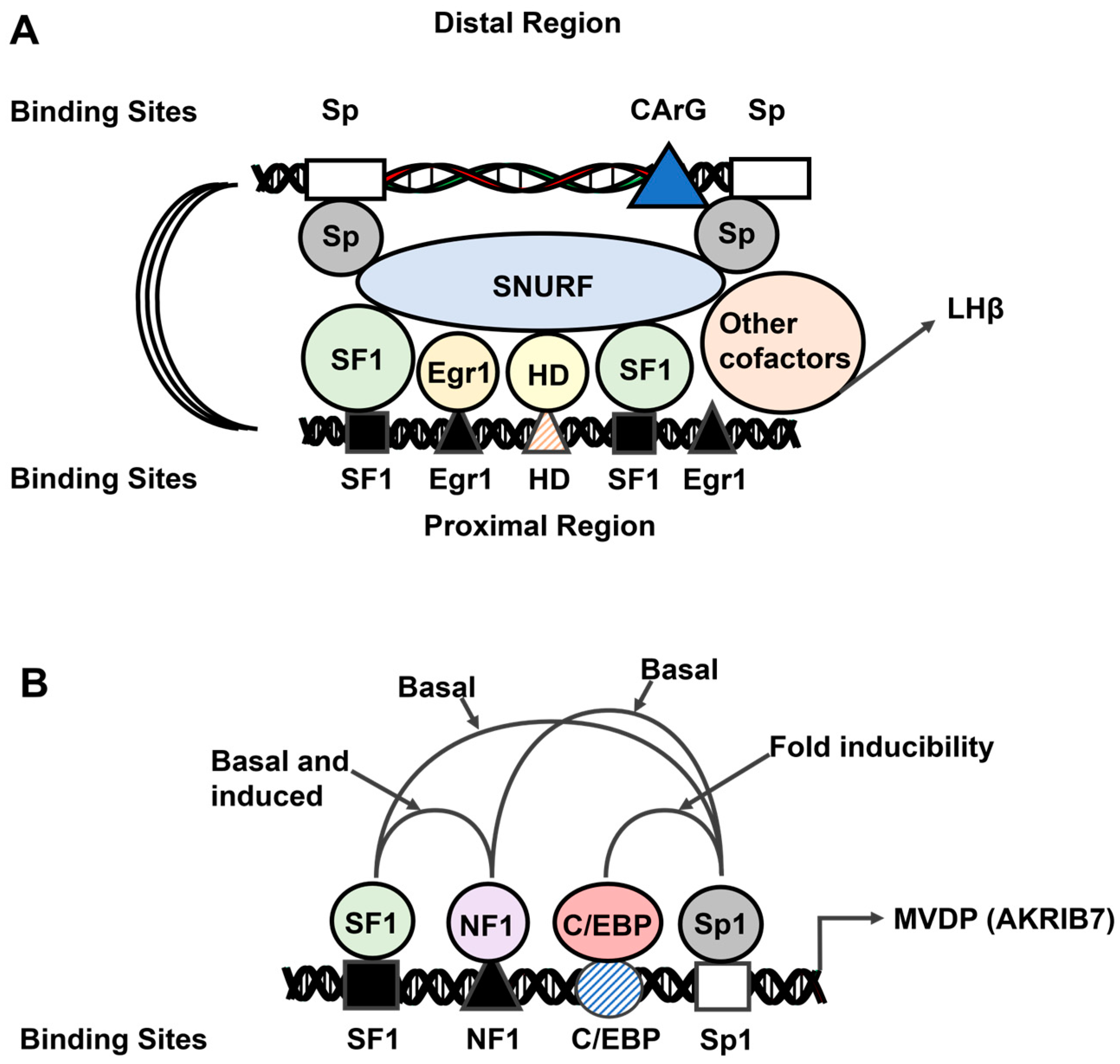 Cancers 17 00284 g007 Cancers 17 00284 g007