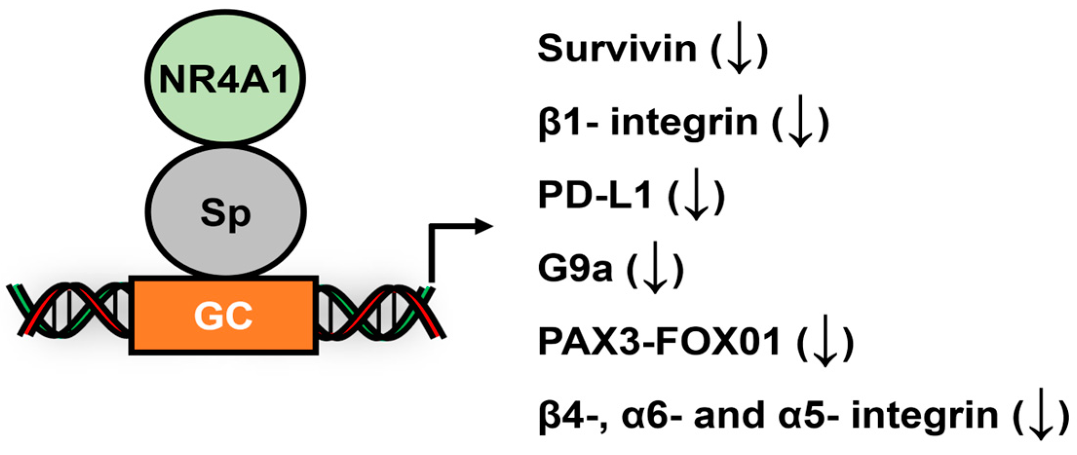 Cancers 17 00284 g008 Cancers 17 00284 g008