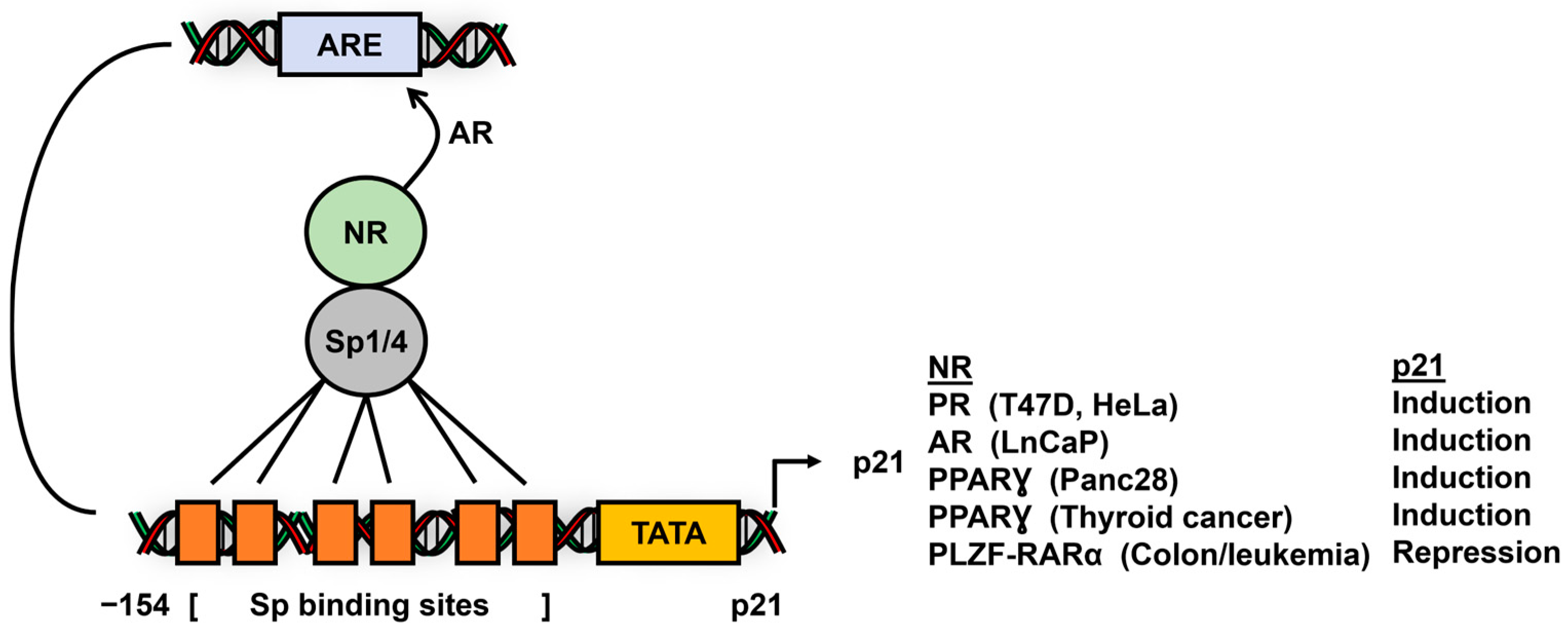 Cancers 17 00284 g010 Cancers 17 00284 g010