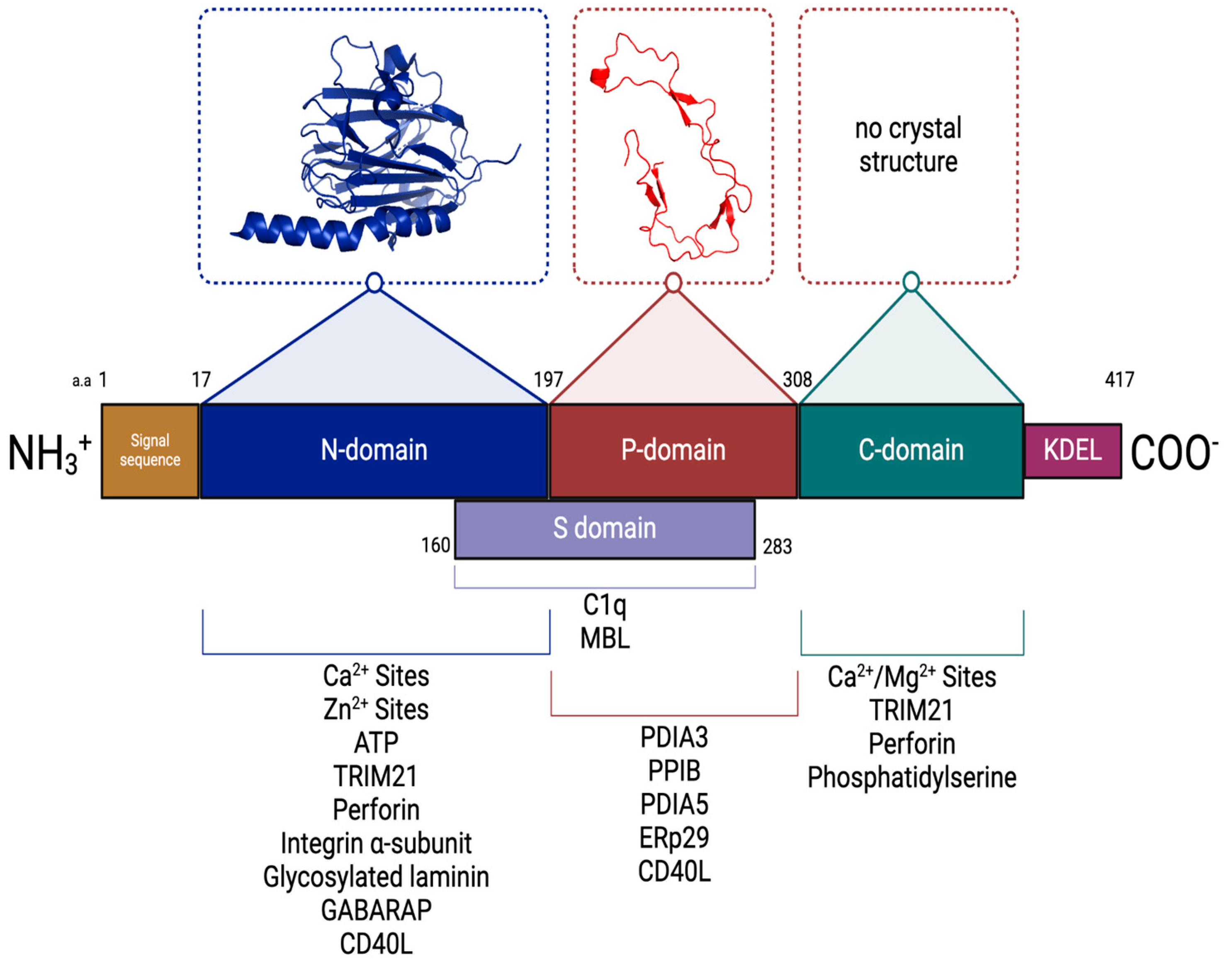 Cancers 17 00288 g003