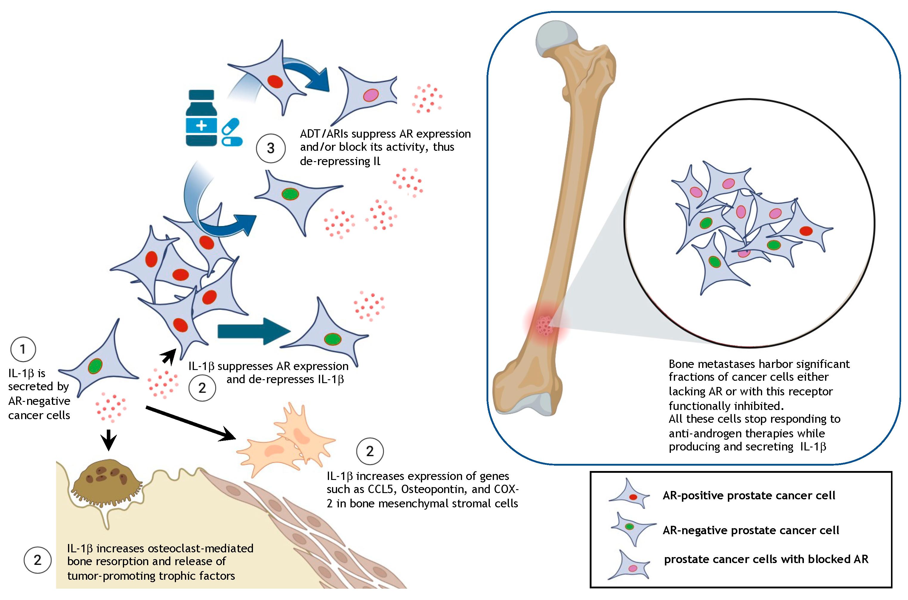 Cancers 17 00290 g001