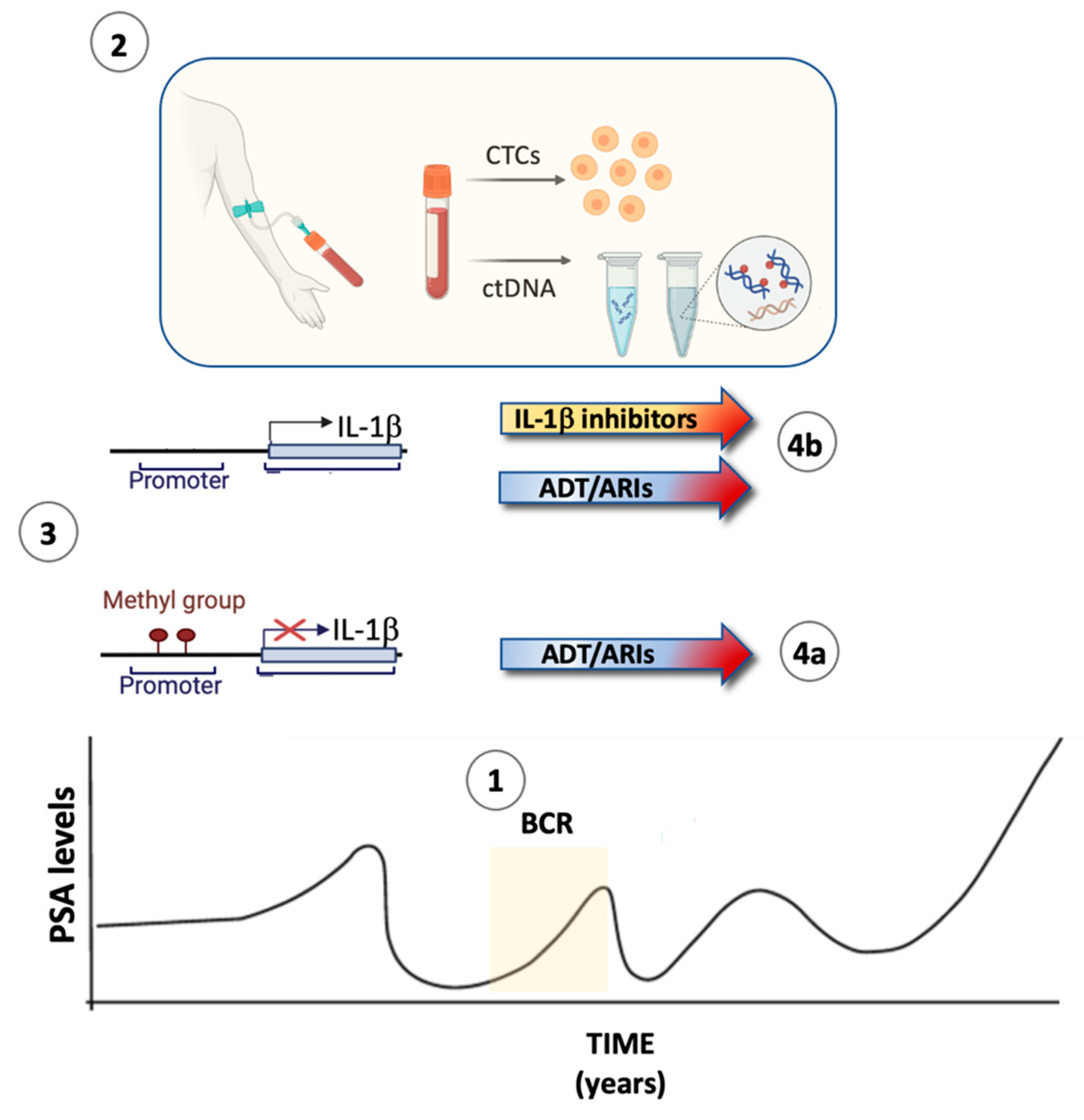 Cancers 17 00290 g002