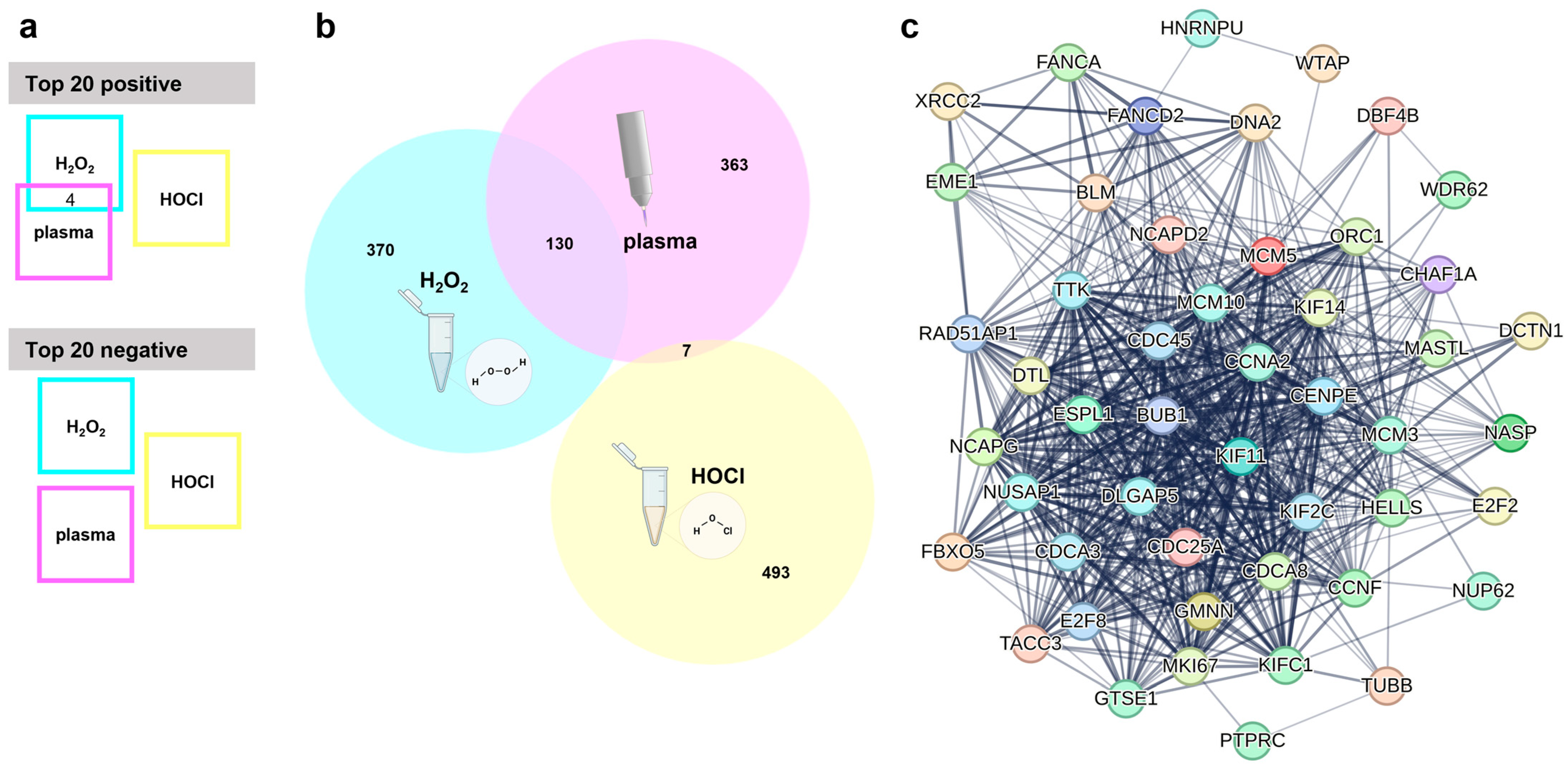 Cancers 17 00319 g003