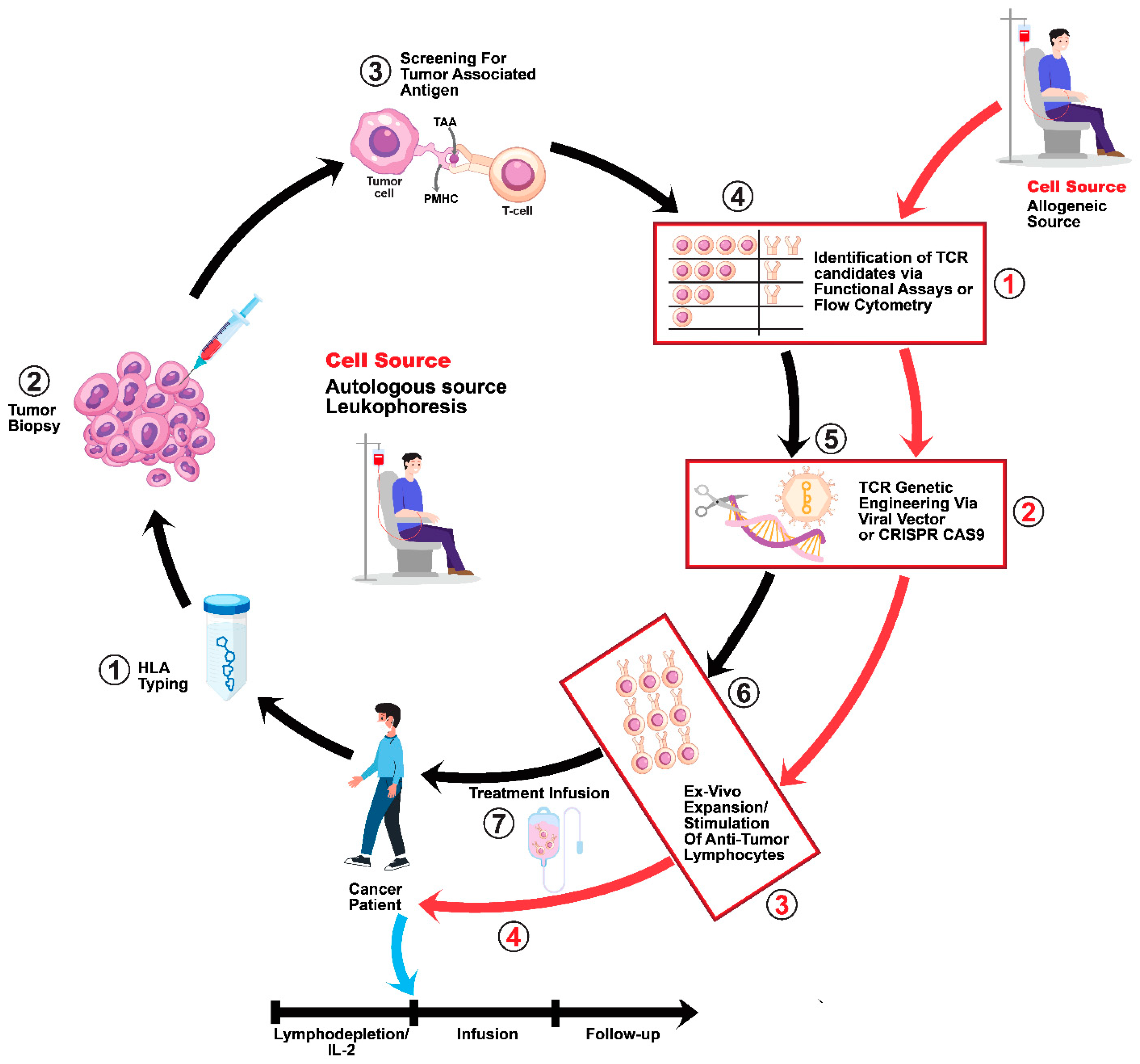 Cancers 17 00413 g002