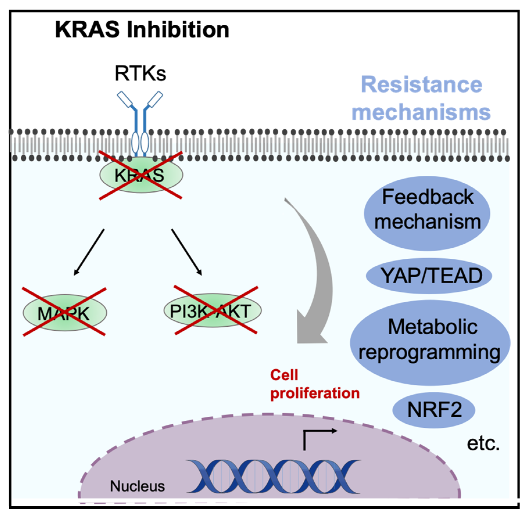 Cancers 17 00428 g004