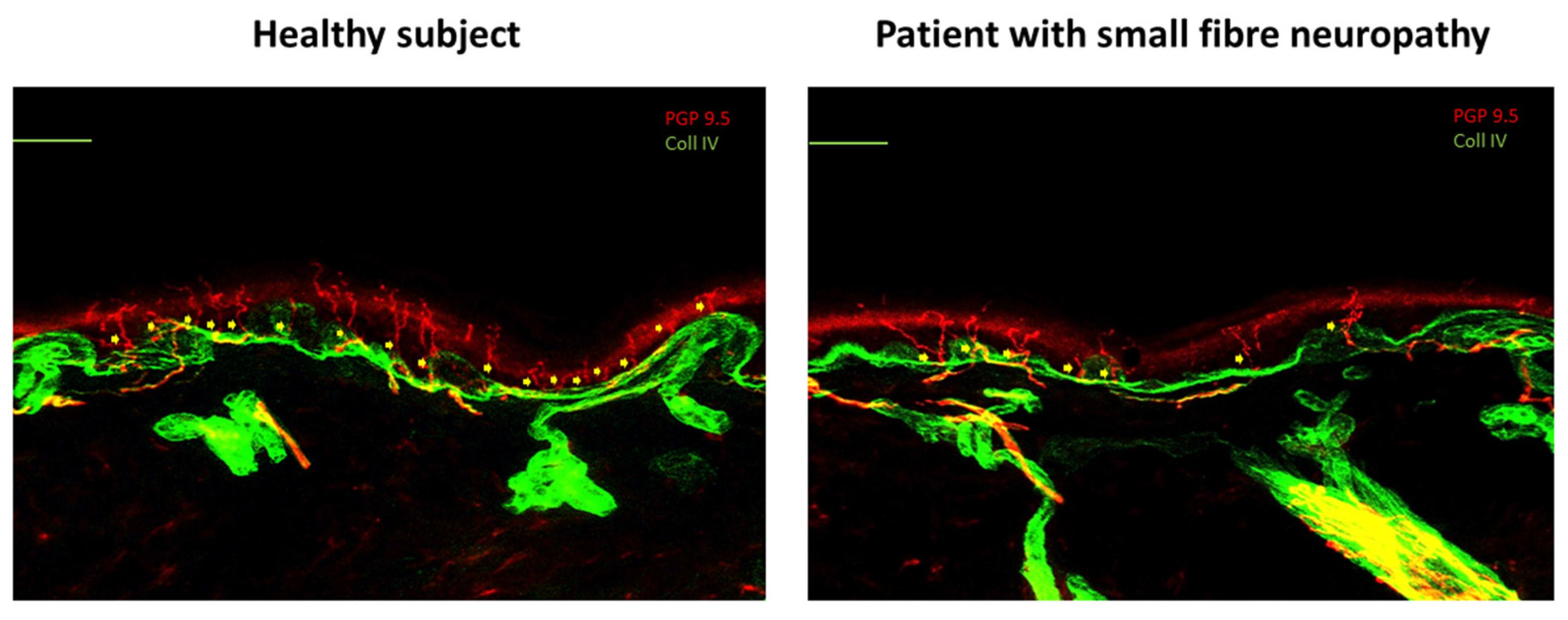 Cancers 17 00460 g002 Cancers 17 00460 g002