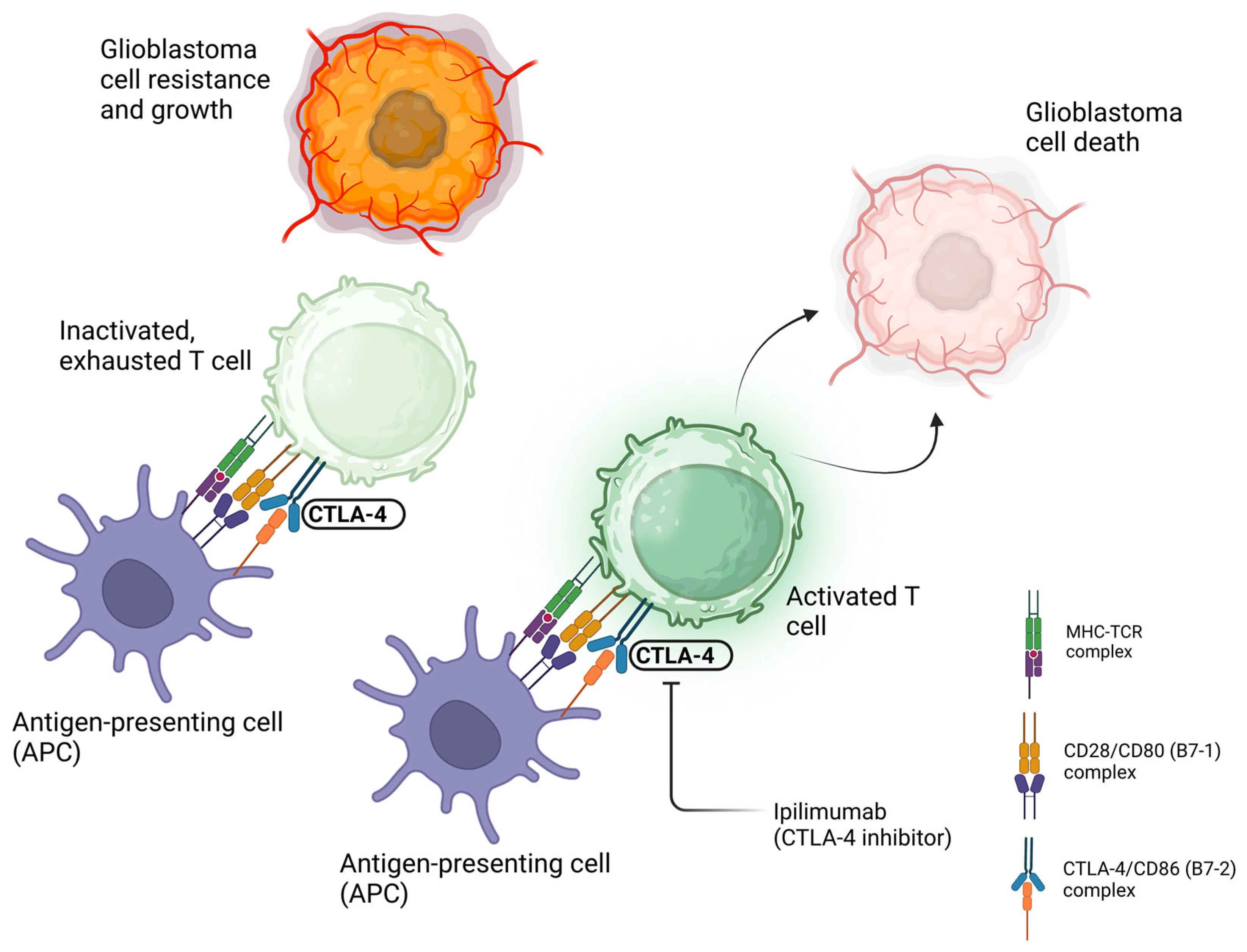 Cancers 17 00462 g002