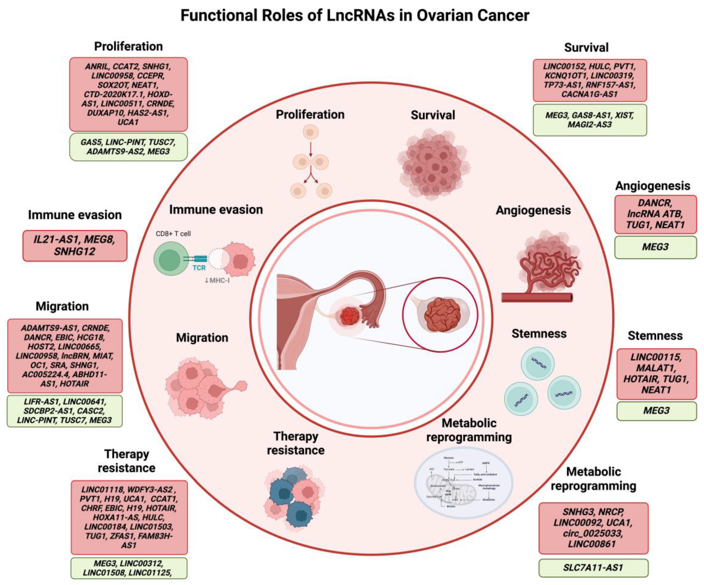Cancers 17 00472 g005
