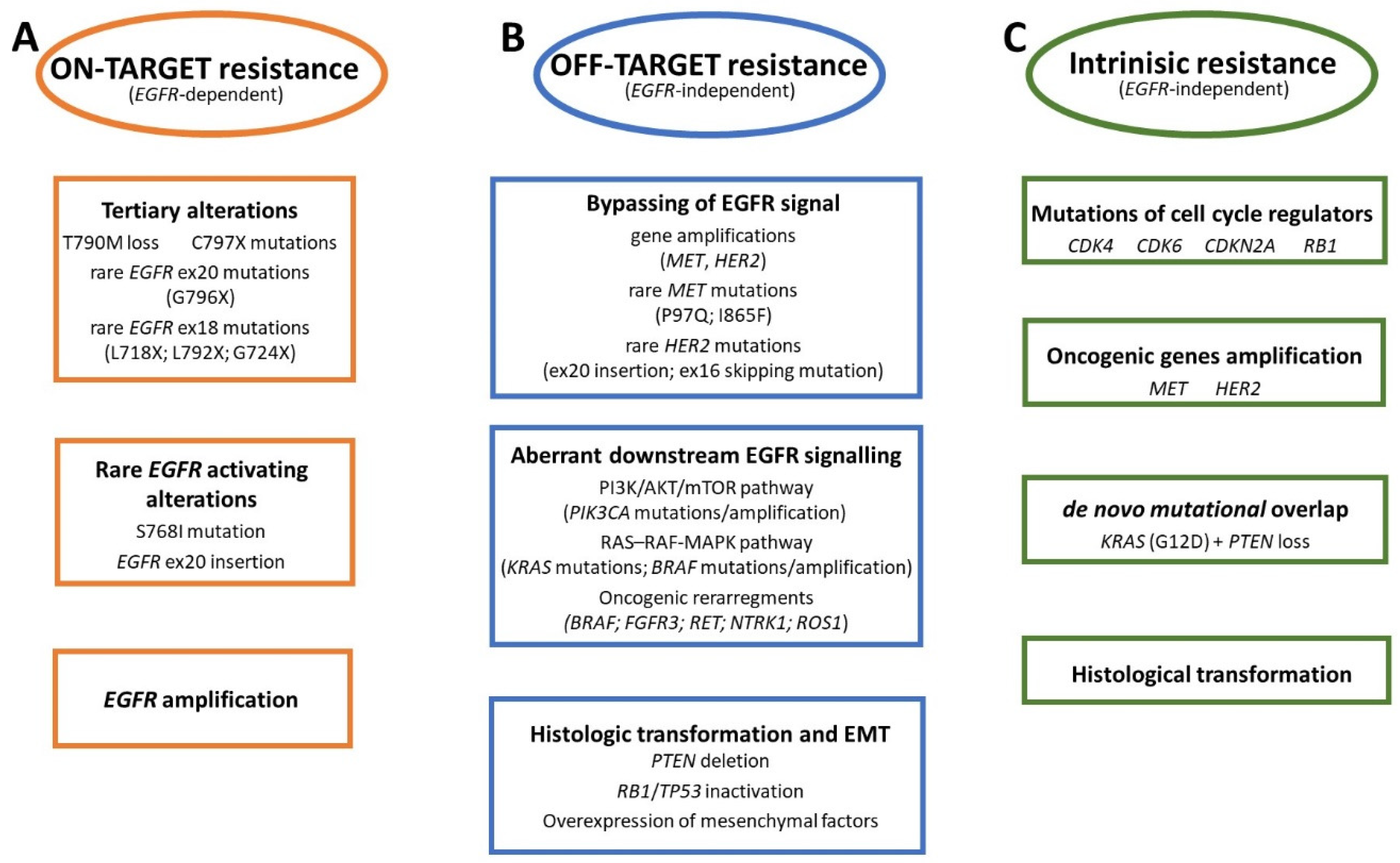 Cancers 17 00563 g001 Cancers 17 00563 g001