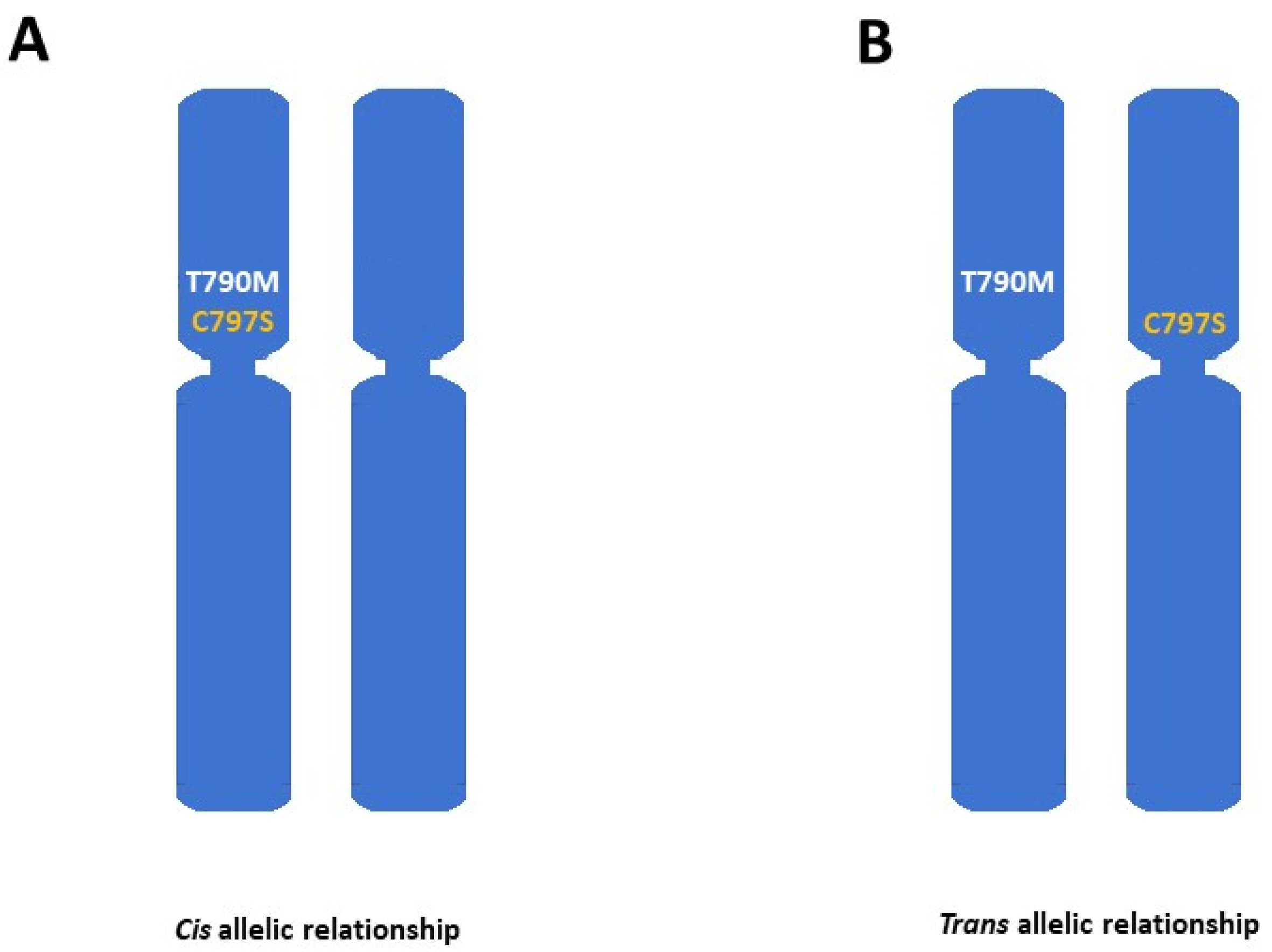 Cancers 17 00563 g002 Cancers 17 00563 g002