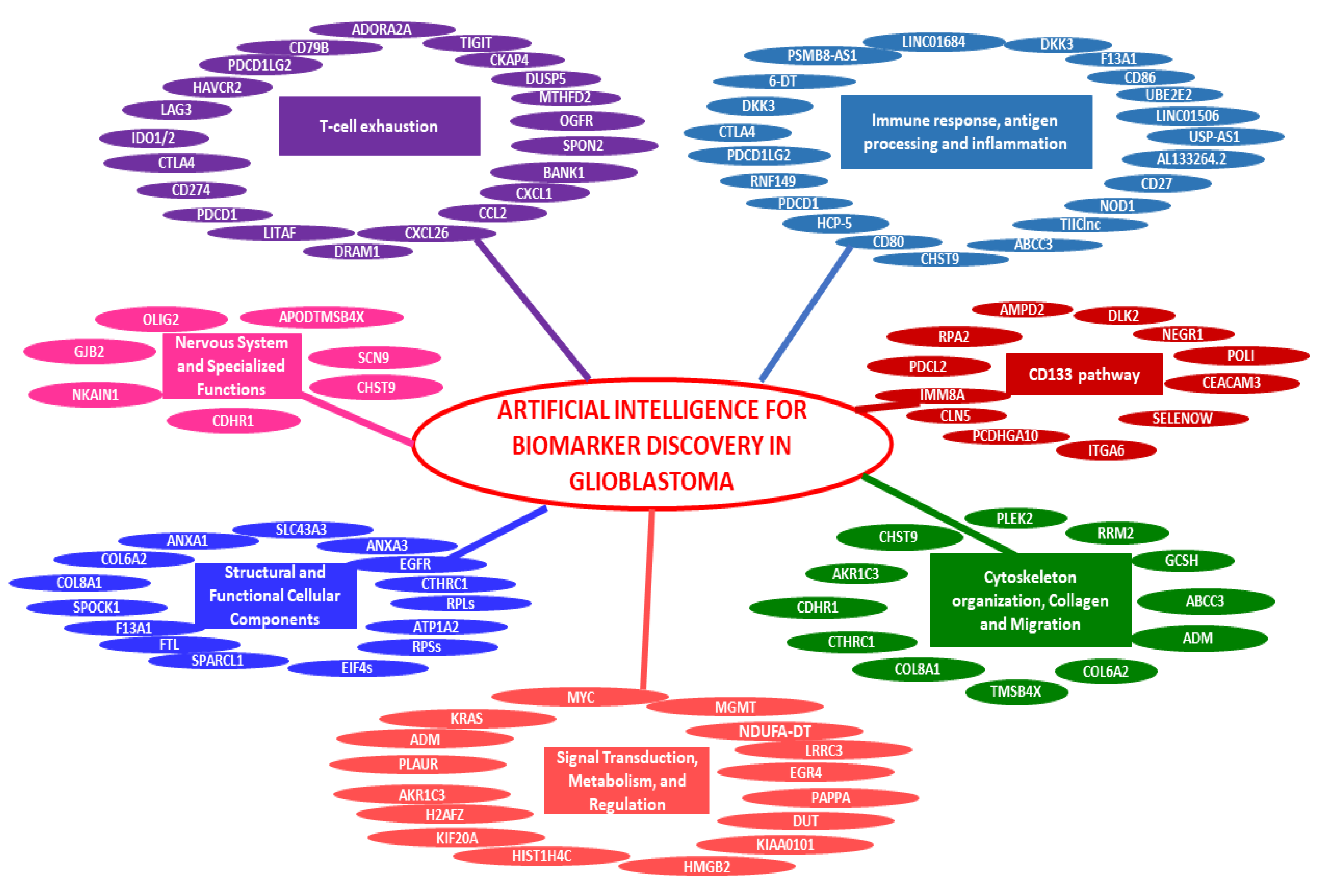 Cancers 17 00571 g002