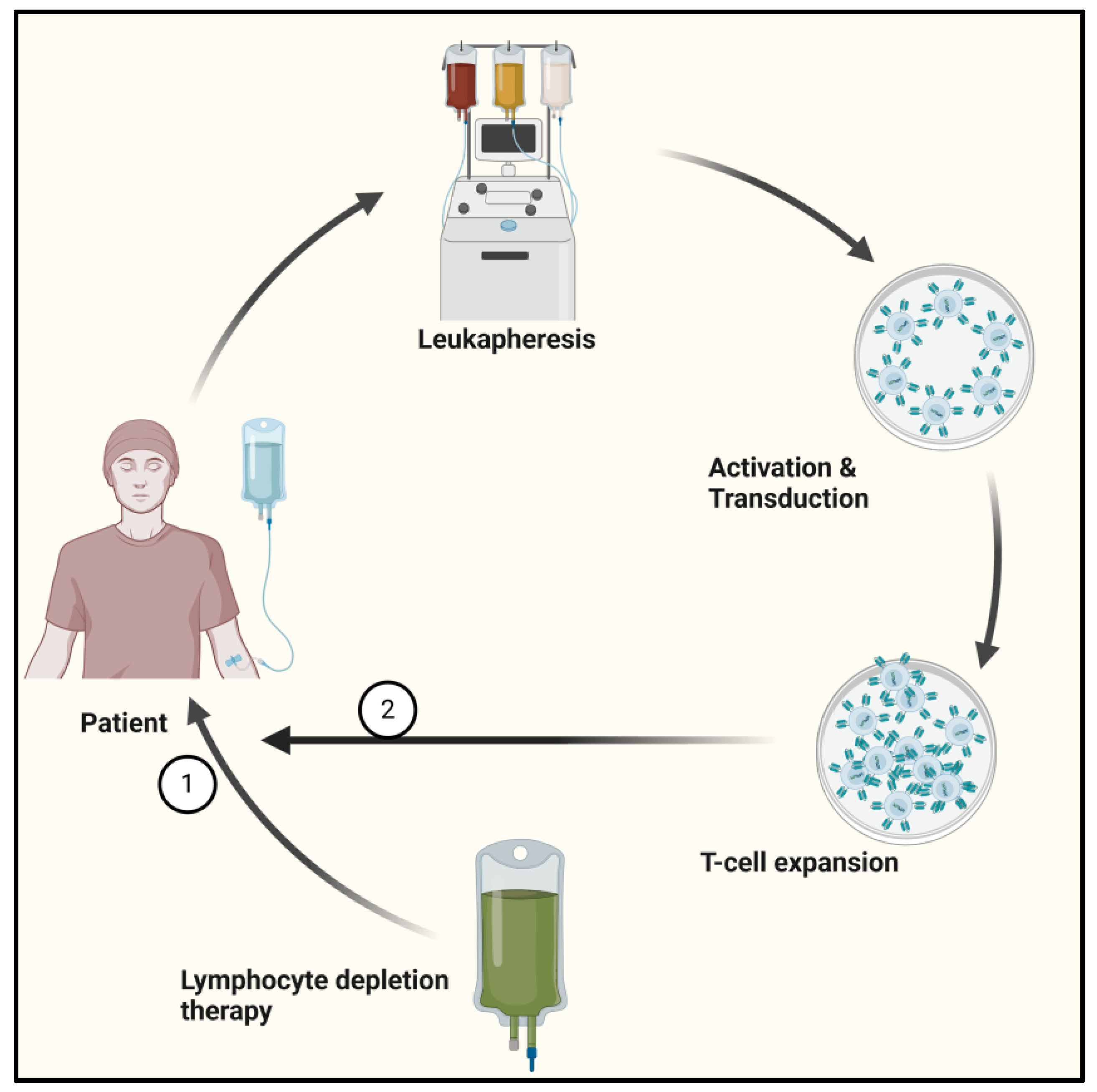 Cancers 17 00589 g002