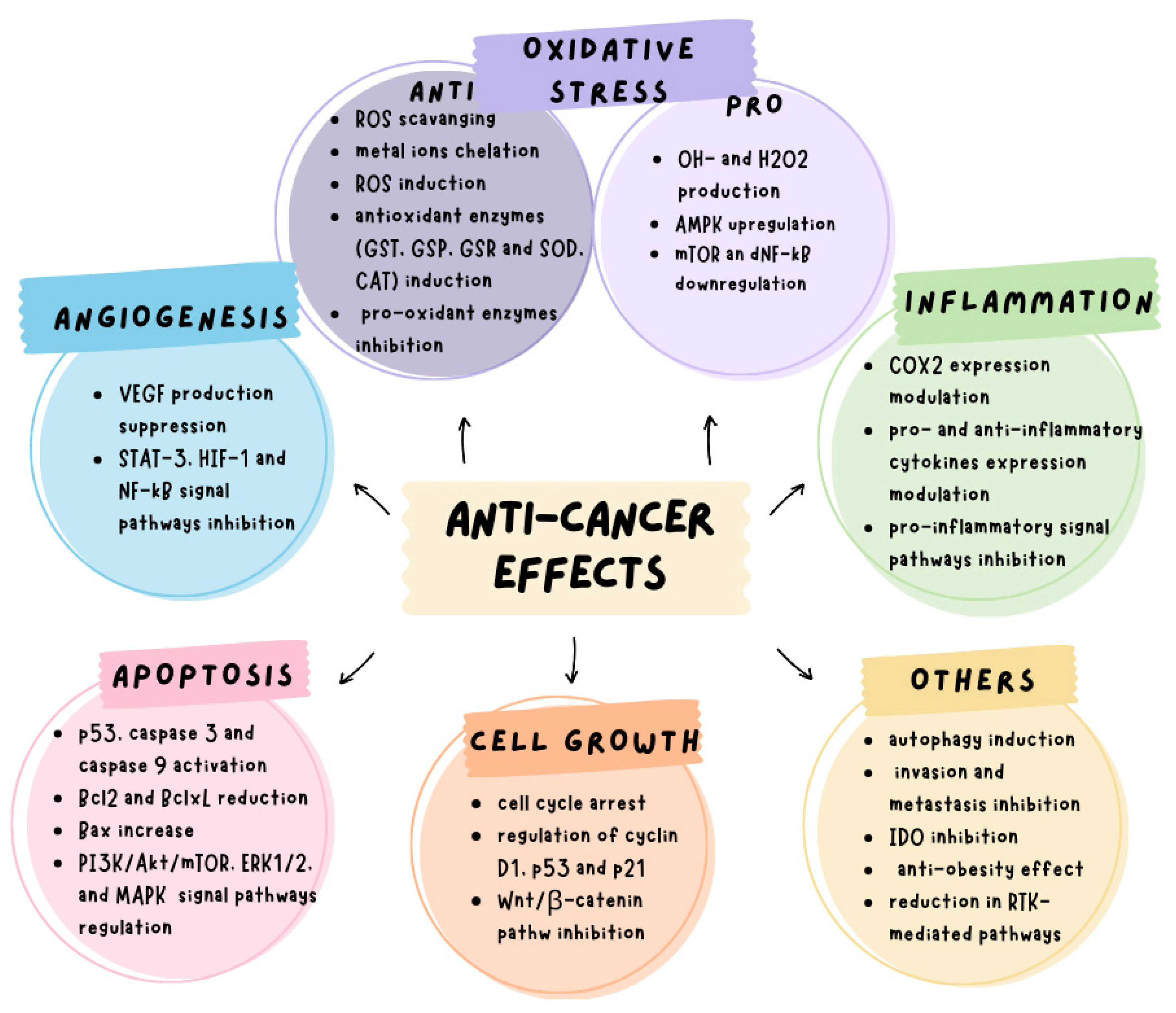 Cancers 17 00623 g004