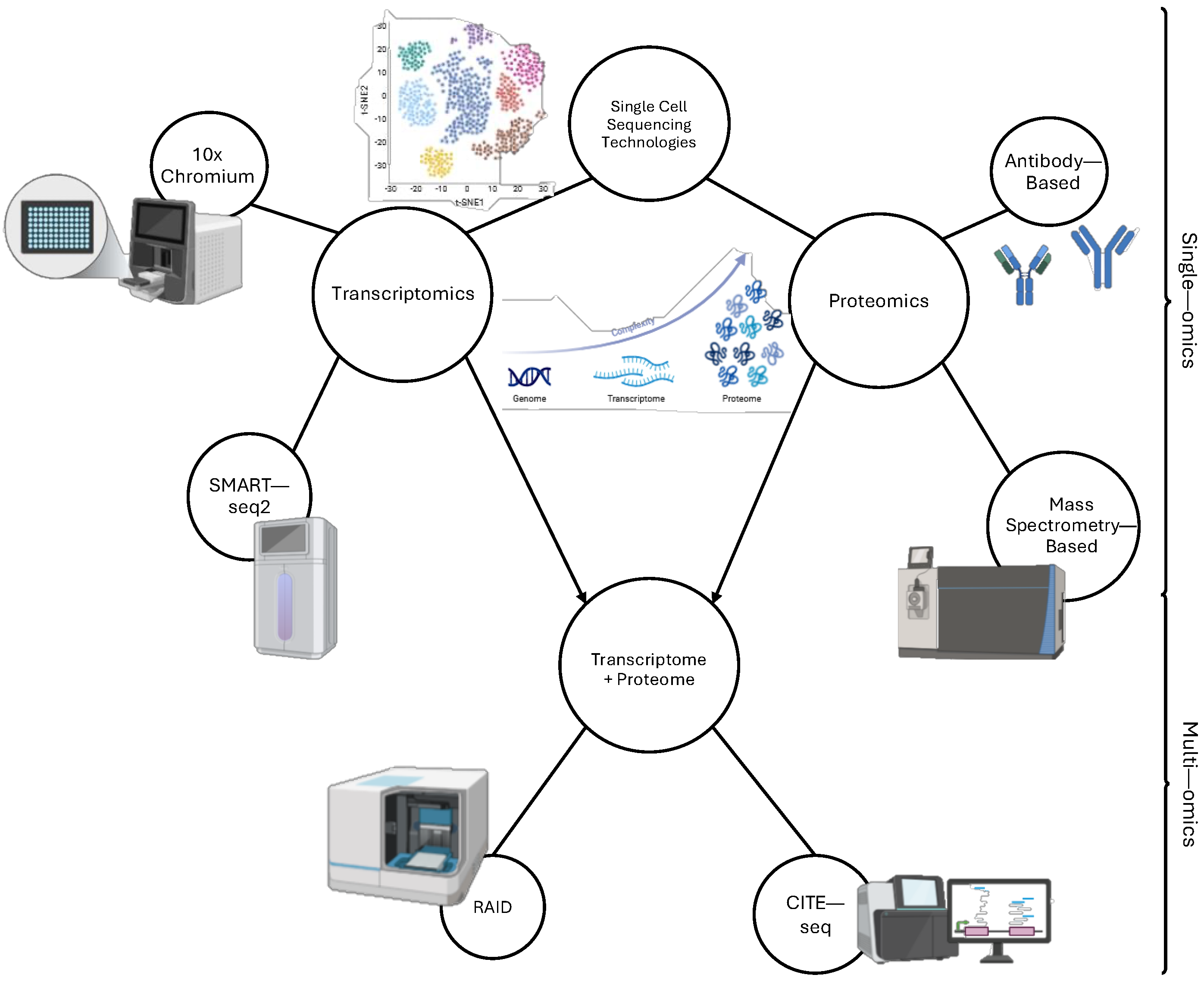 Cancers 17 00653 g001