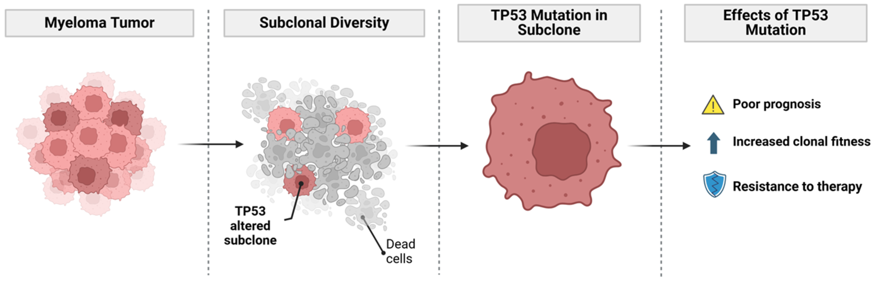 Cancers 17 00653 g002