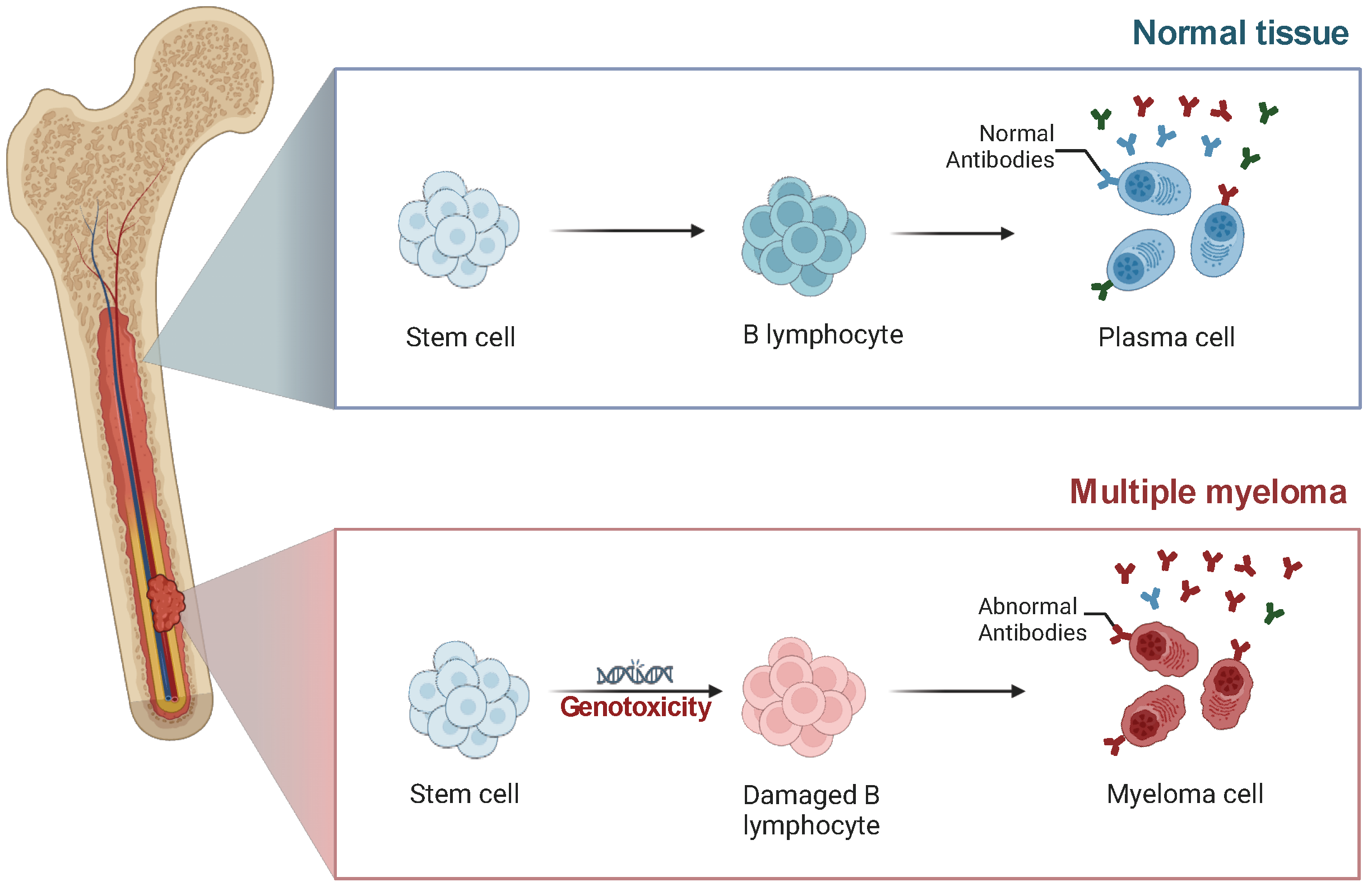 Cancers 17 00653 g003