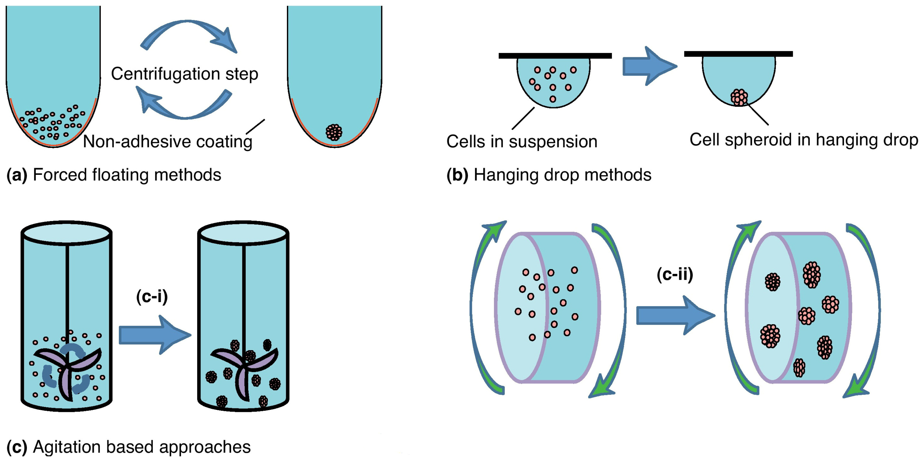 Cancers 17 00700 g004