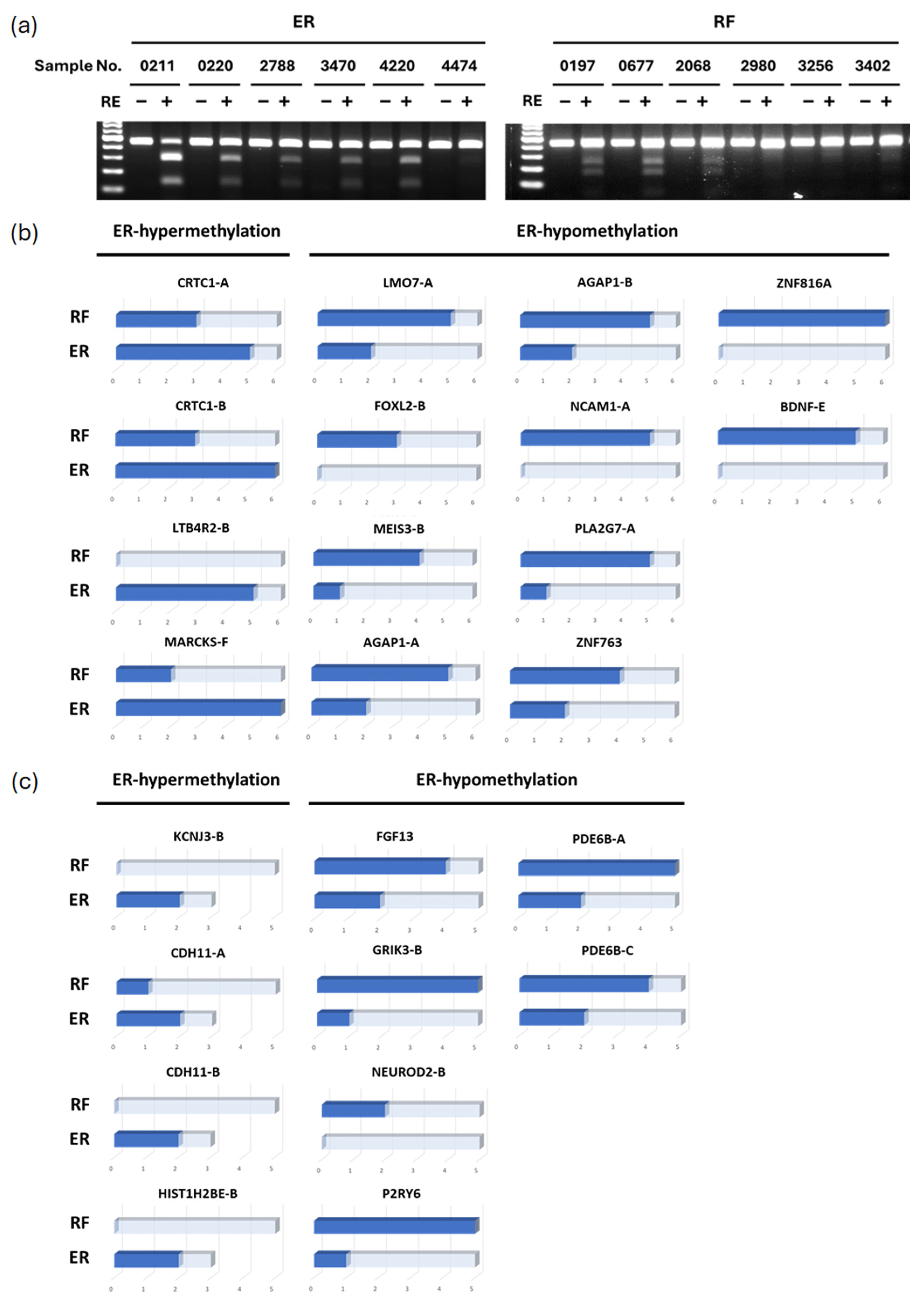 Cancers 17 00769 g002