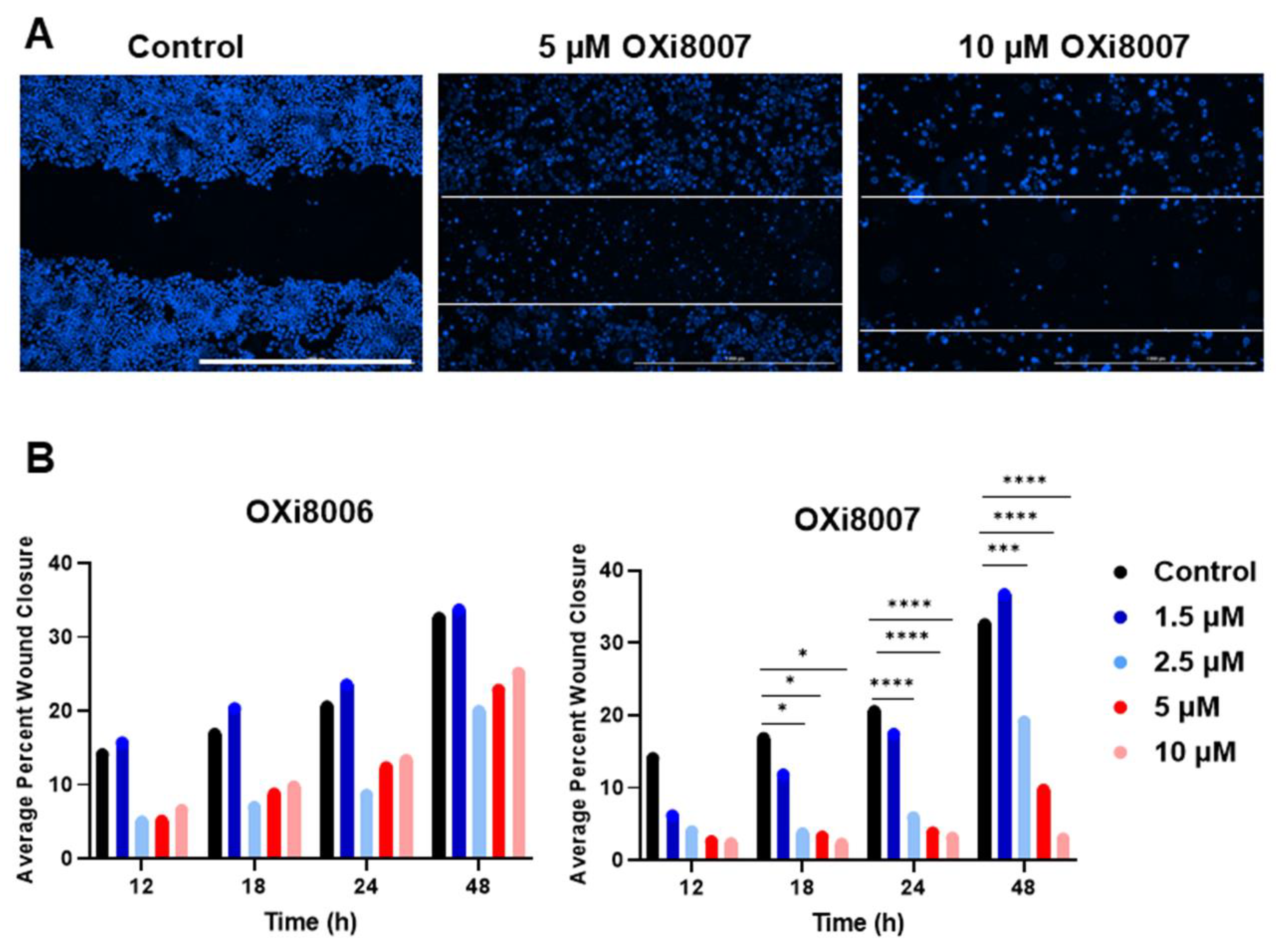 Cancers 17 00771 g003