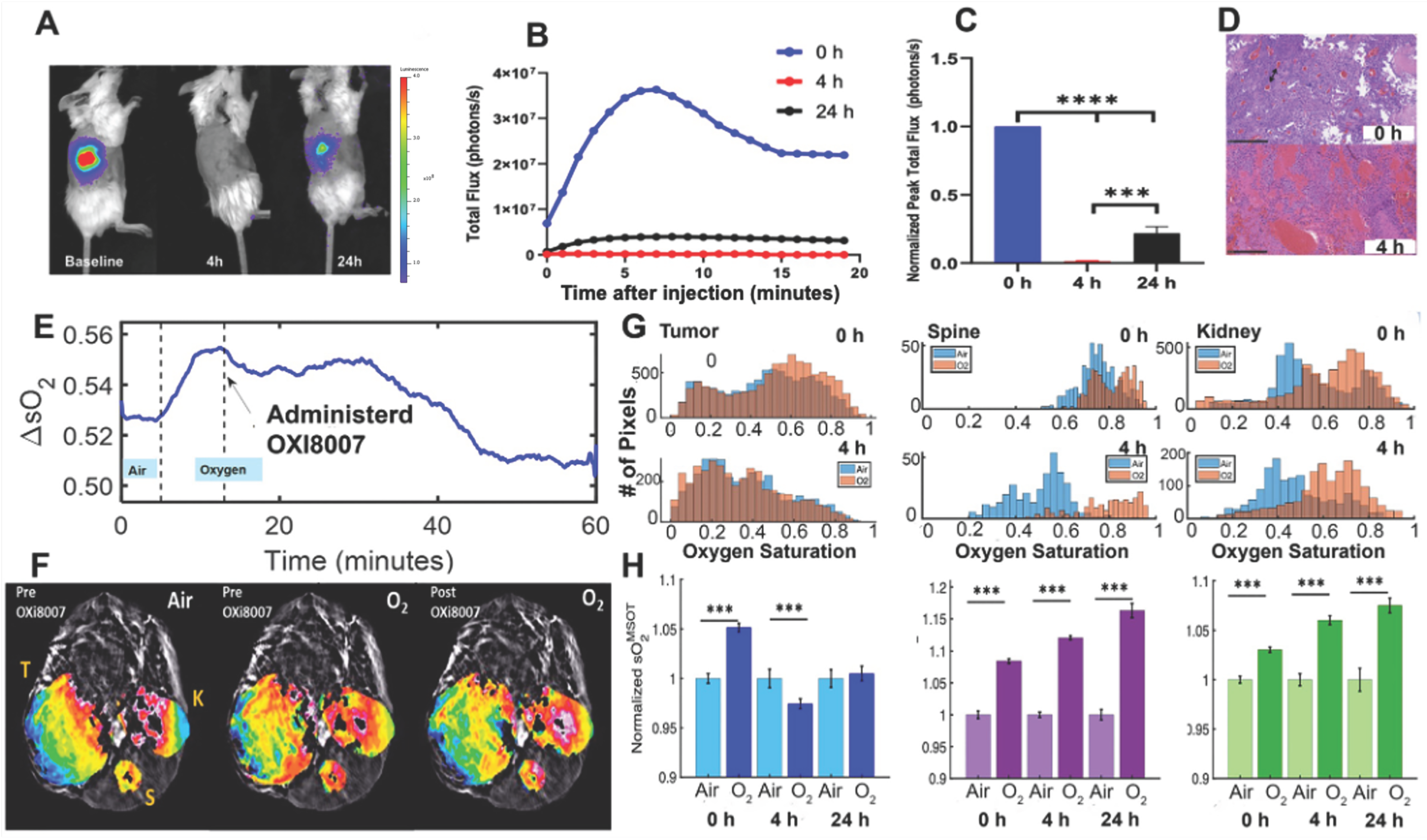 Cancers 17 00771 g006