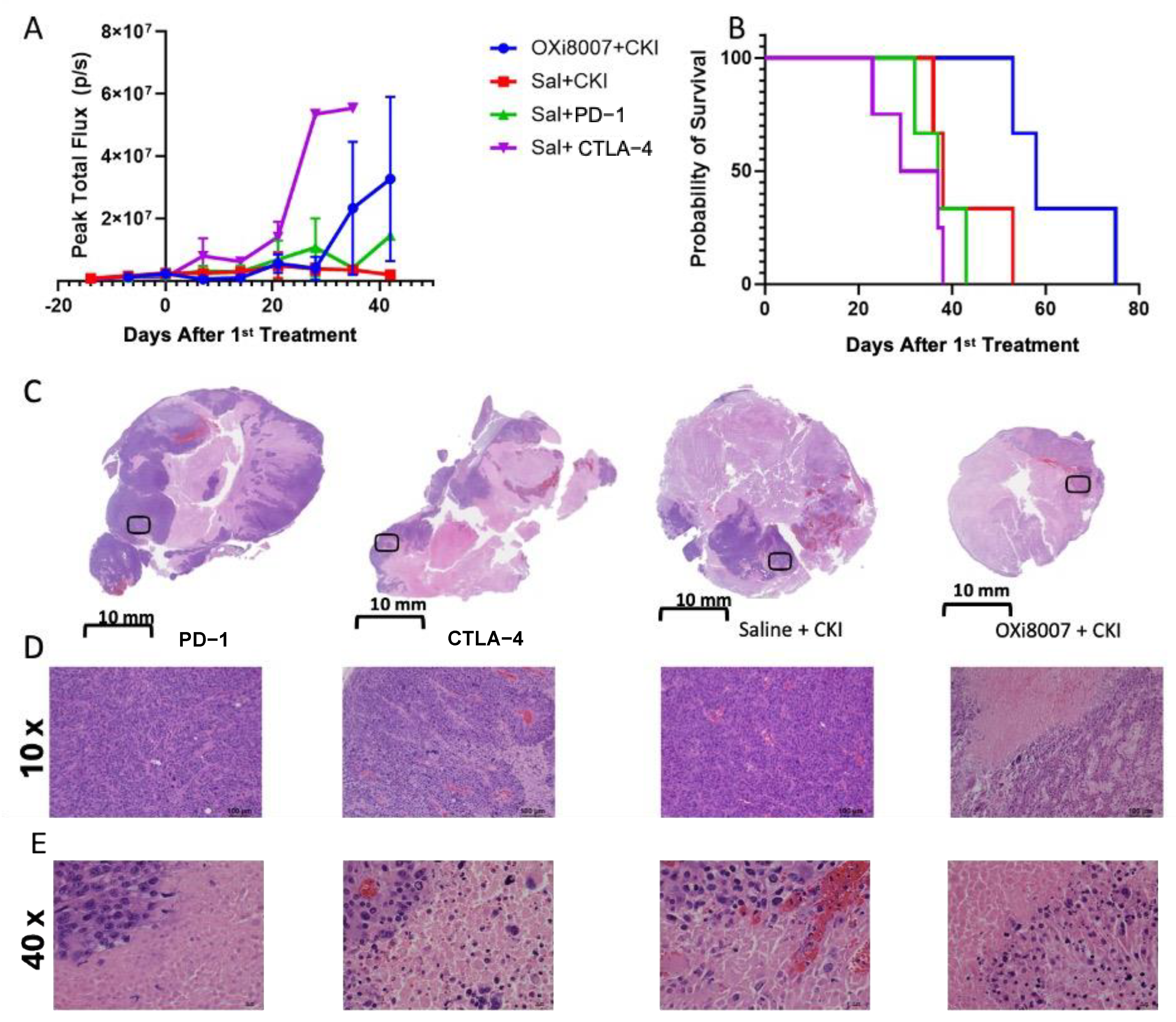 Cancers 17 00771 g008