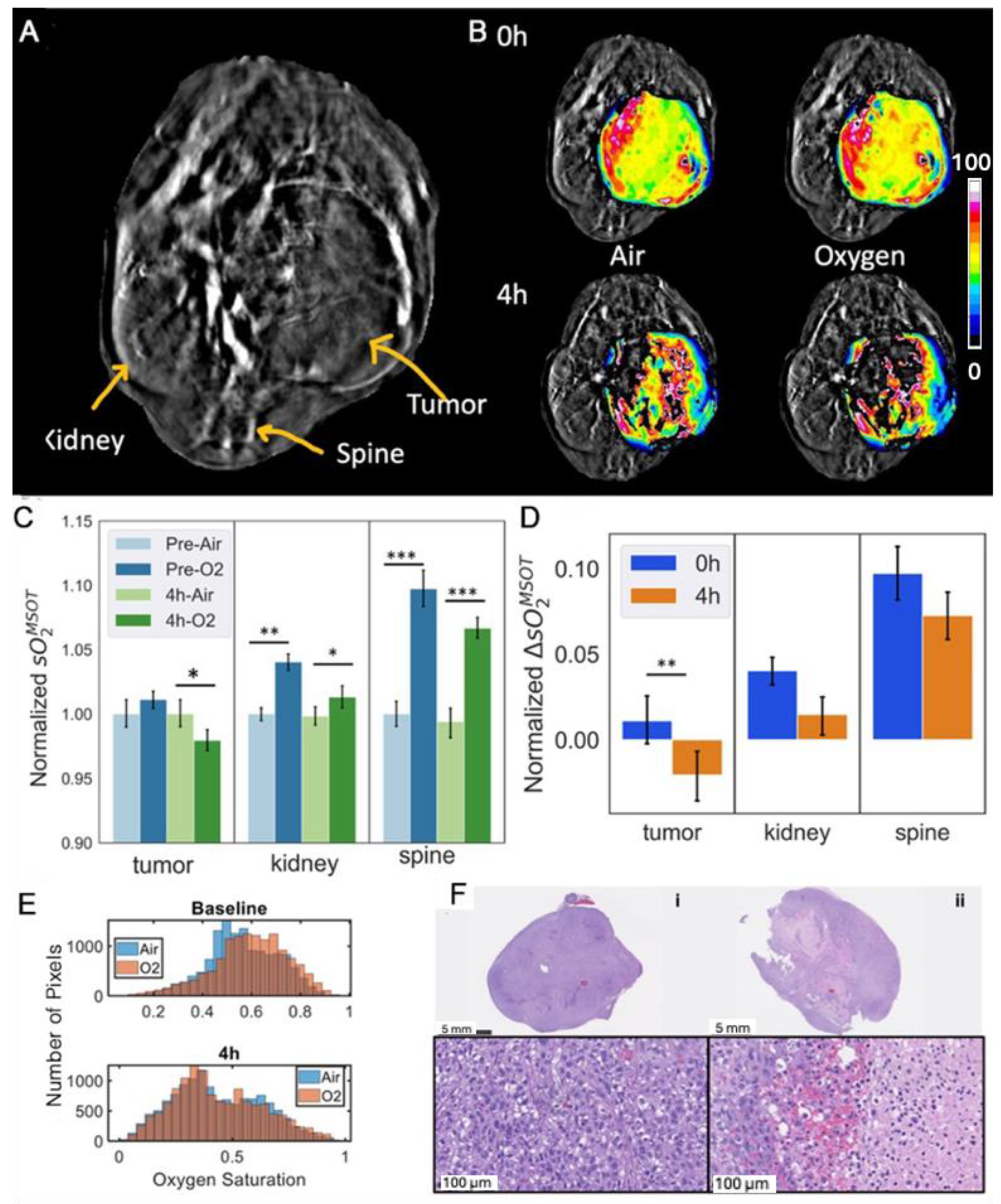 Cancers 17 00771 g009