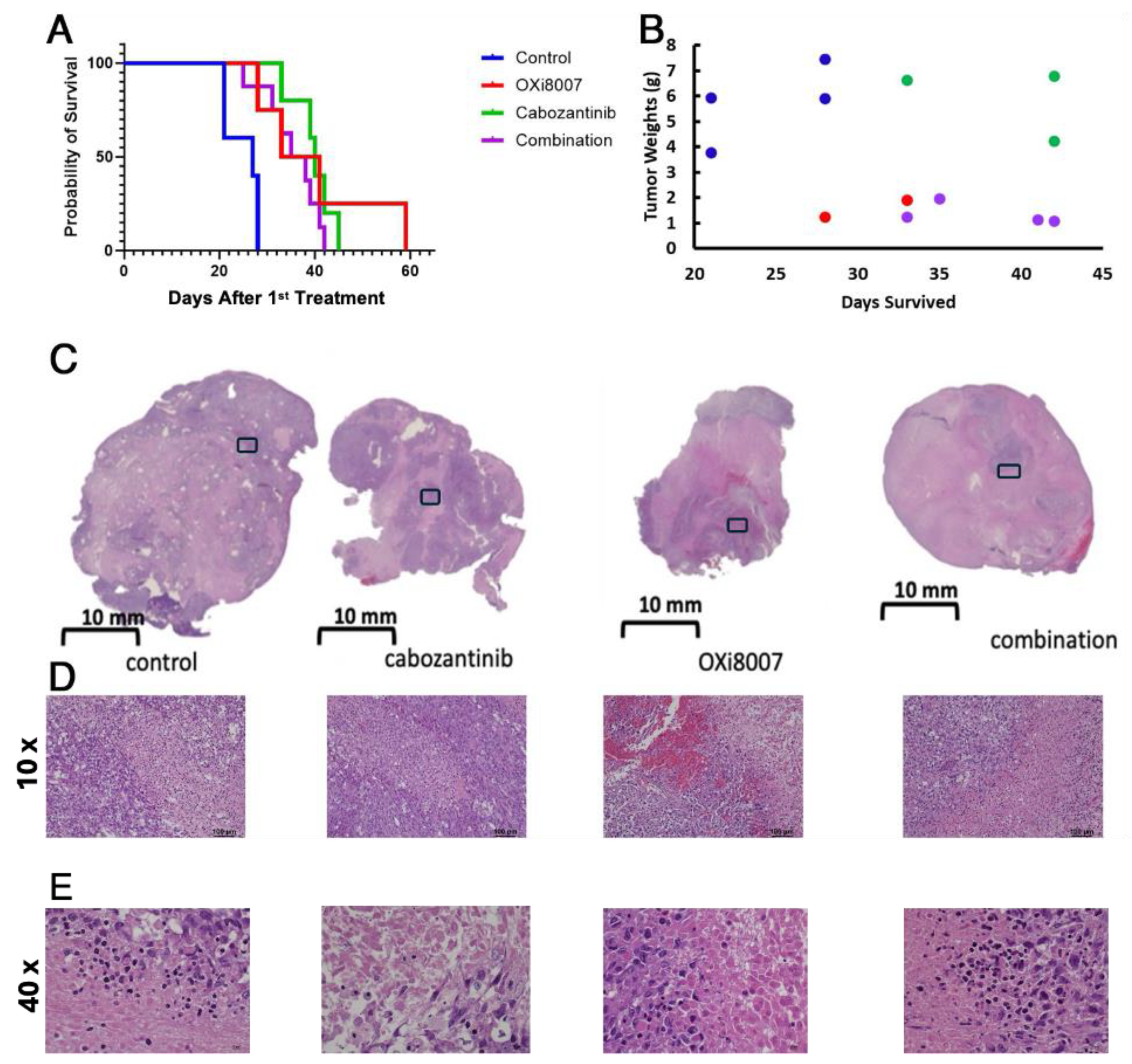 Cancers 17 00771 g010