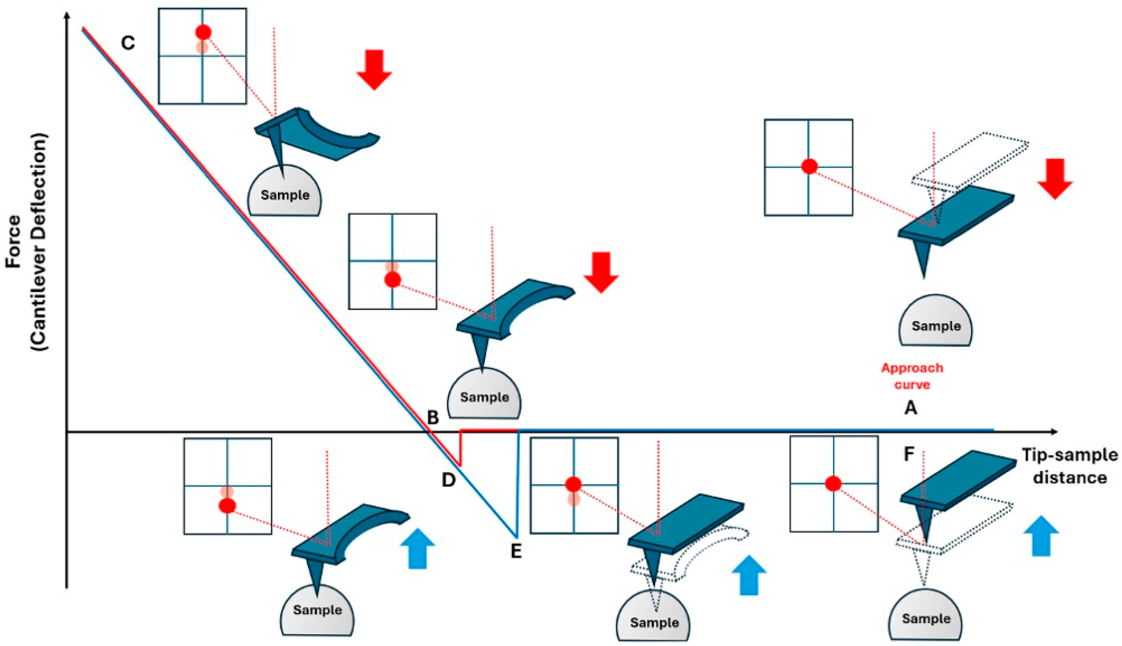 Cancers 17 00858 g001