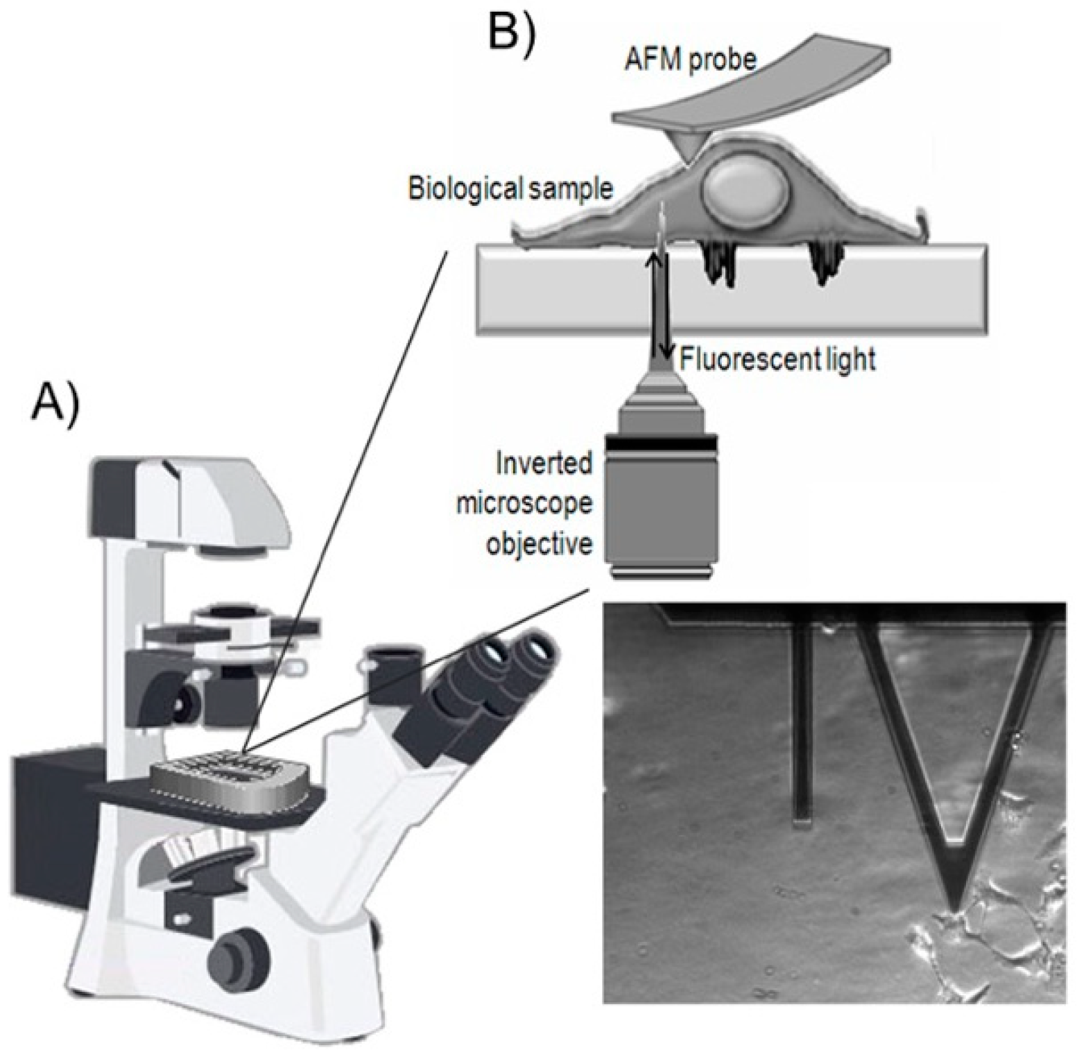 Cancers 17 00858 g003