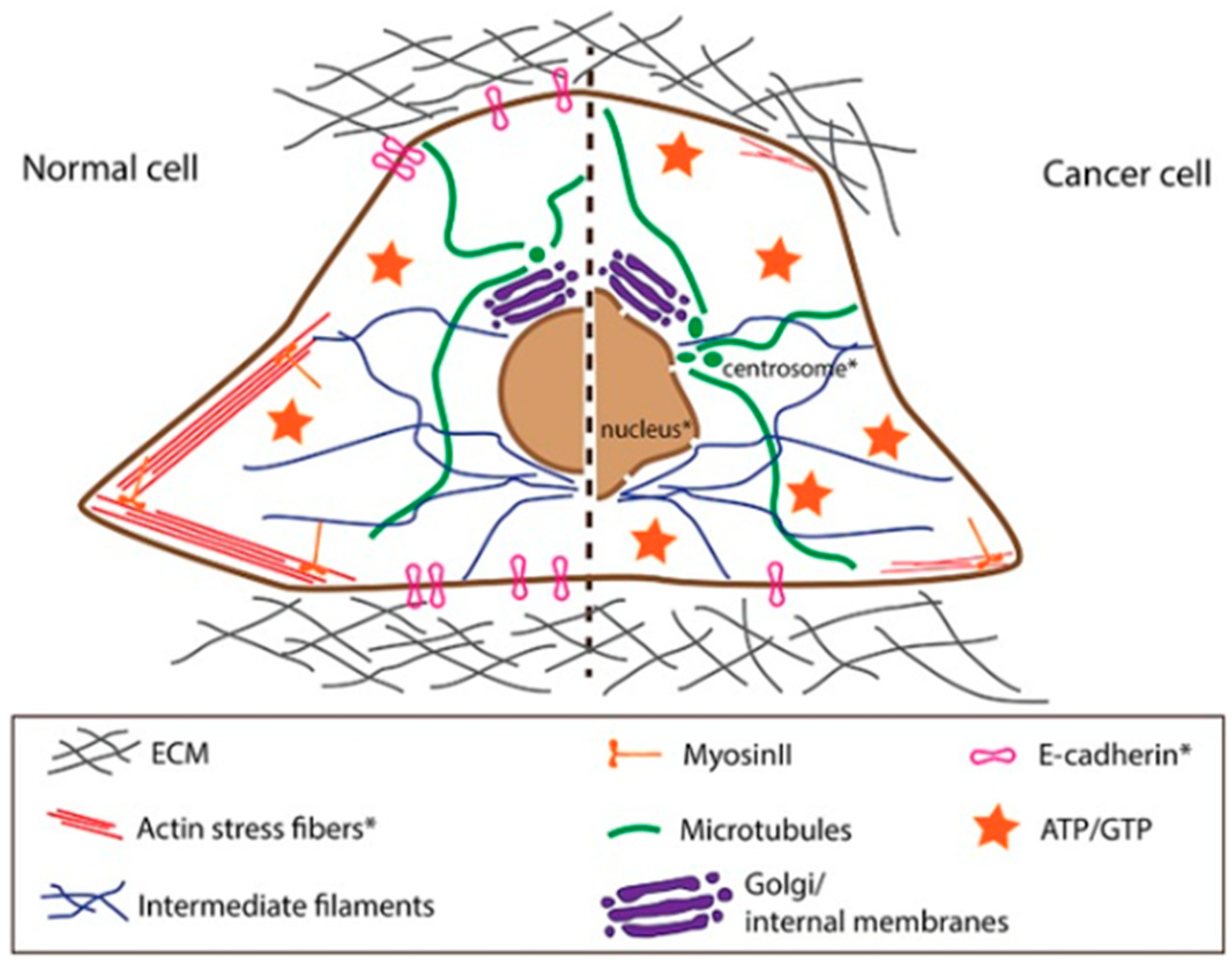 Cancers 17 00858 g006