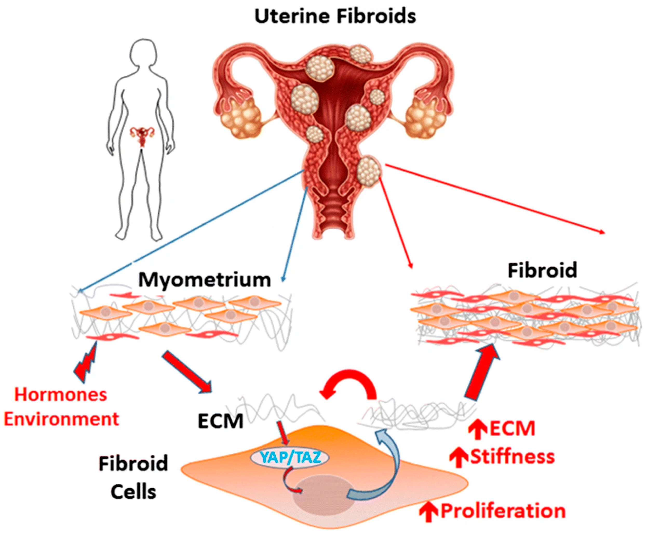 Cancers 17 00858 g009