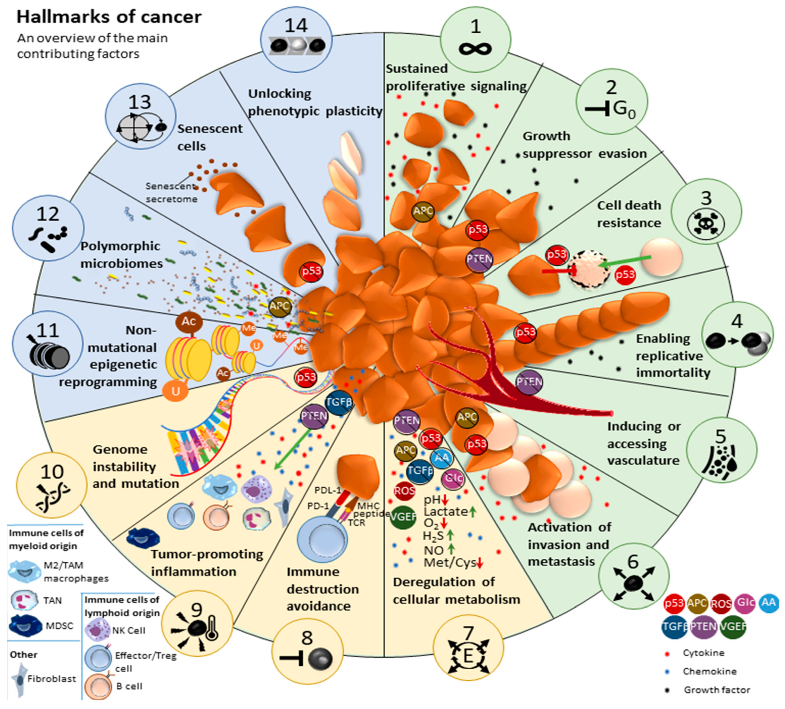 Cancers 17 00879 g001