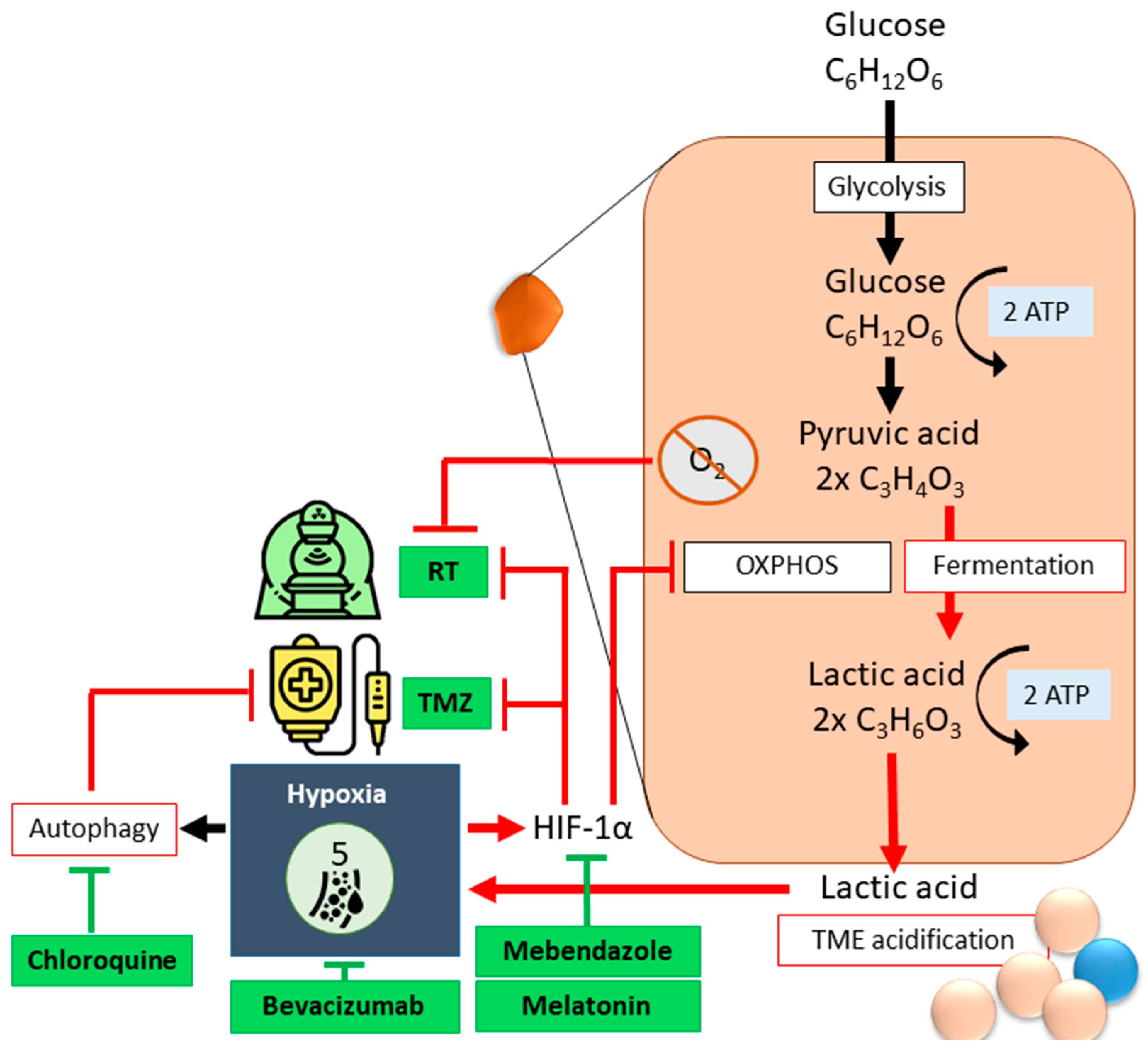 Cancers 17 00879 g003