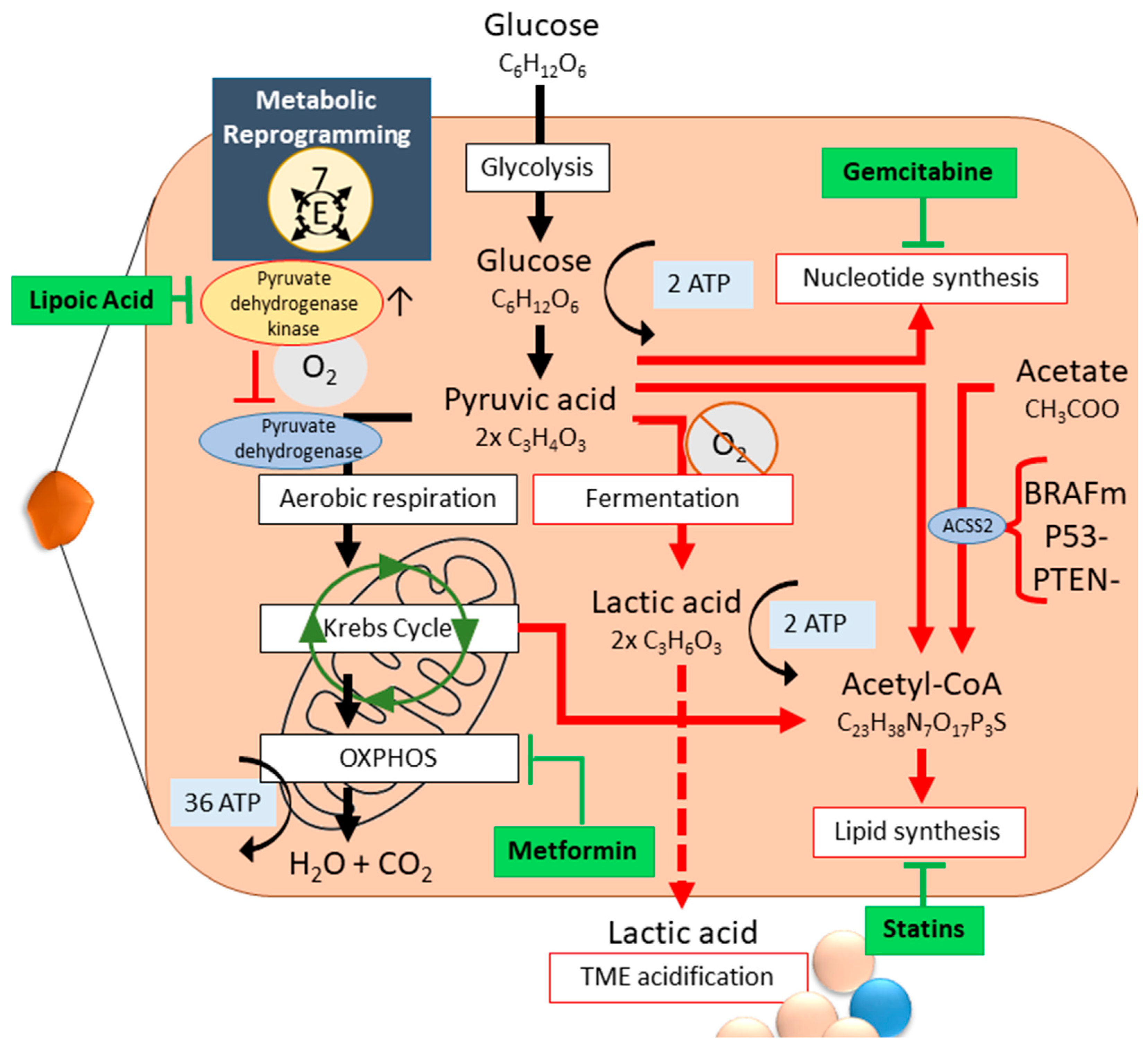 Cancers 17 00879 g004