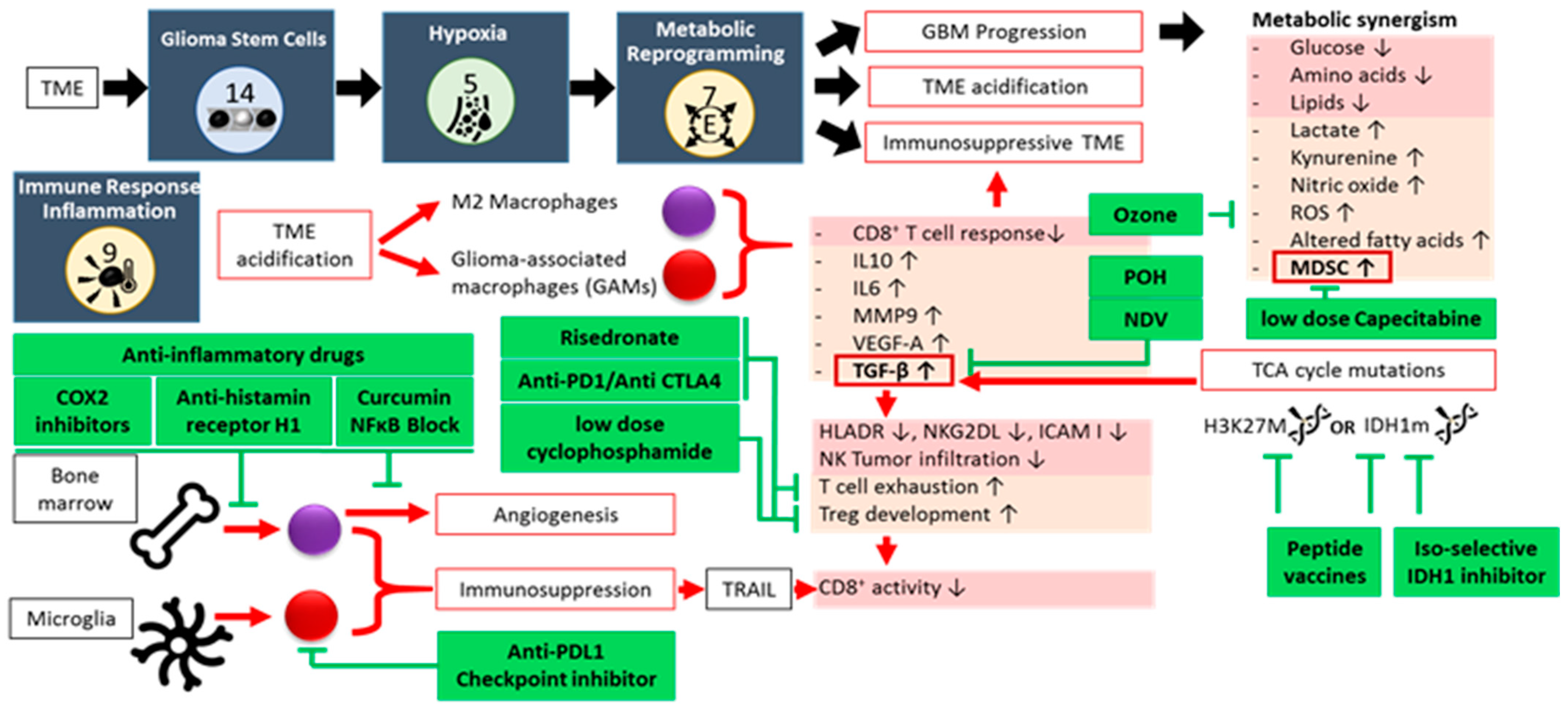 Cancers 17 00879 g005