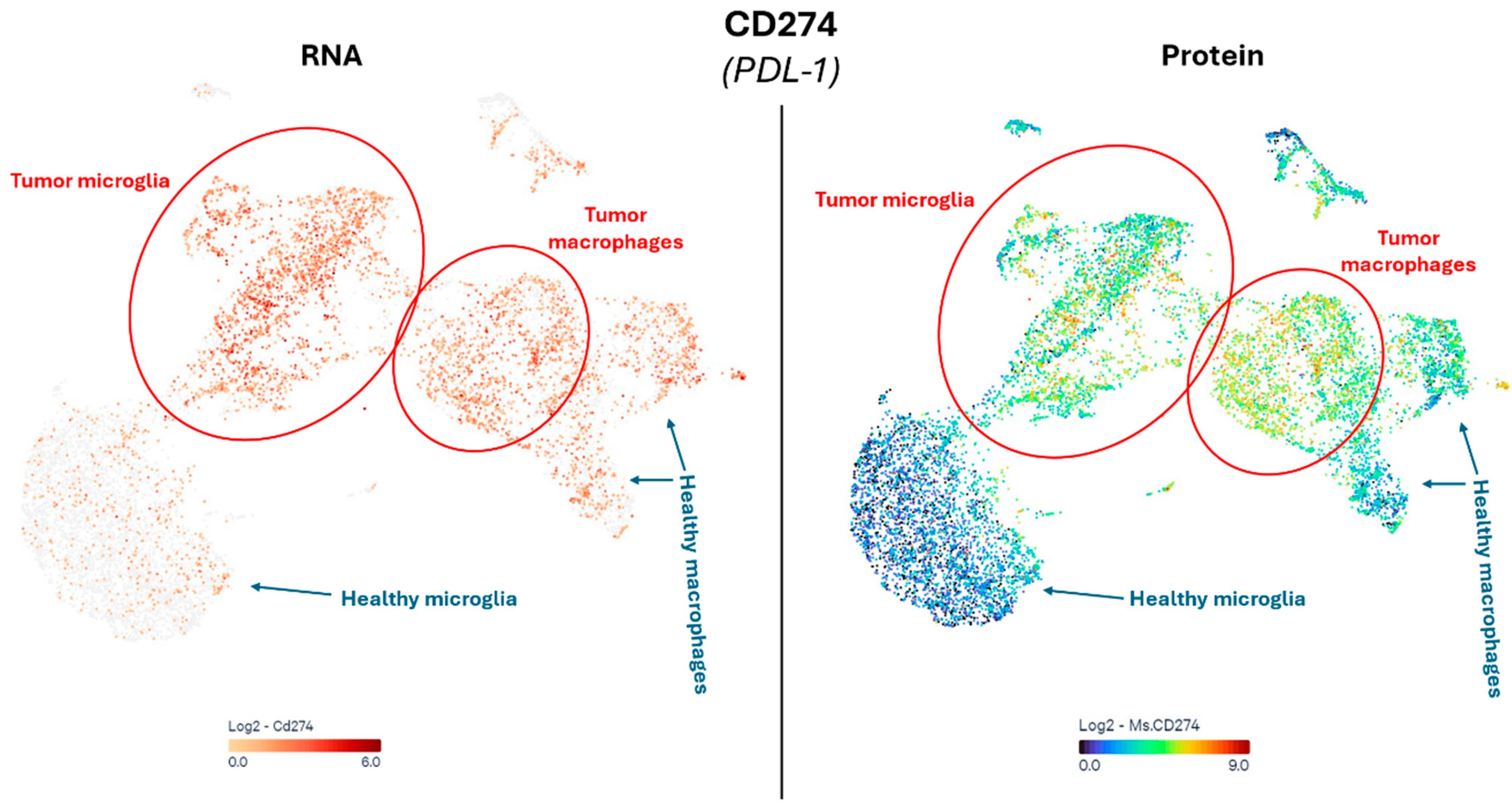 Cancers 17 00879 g007