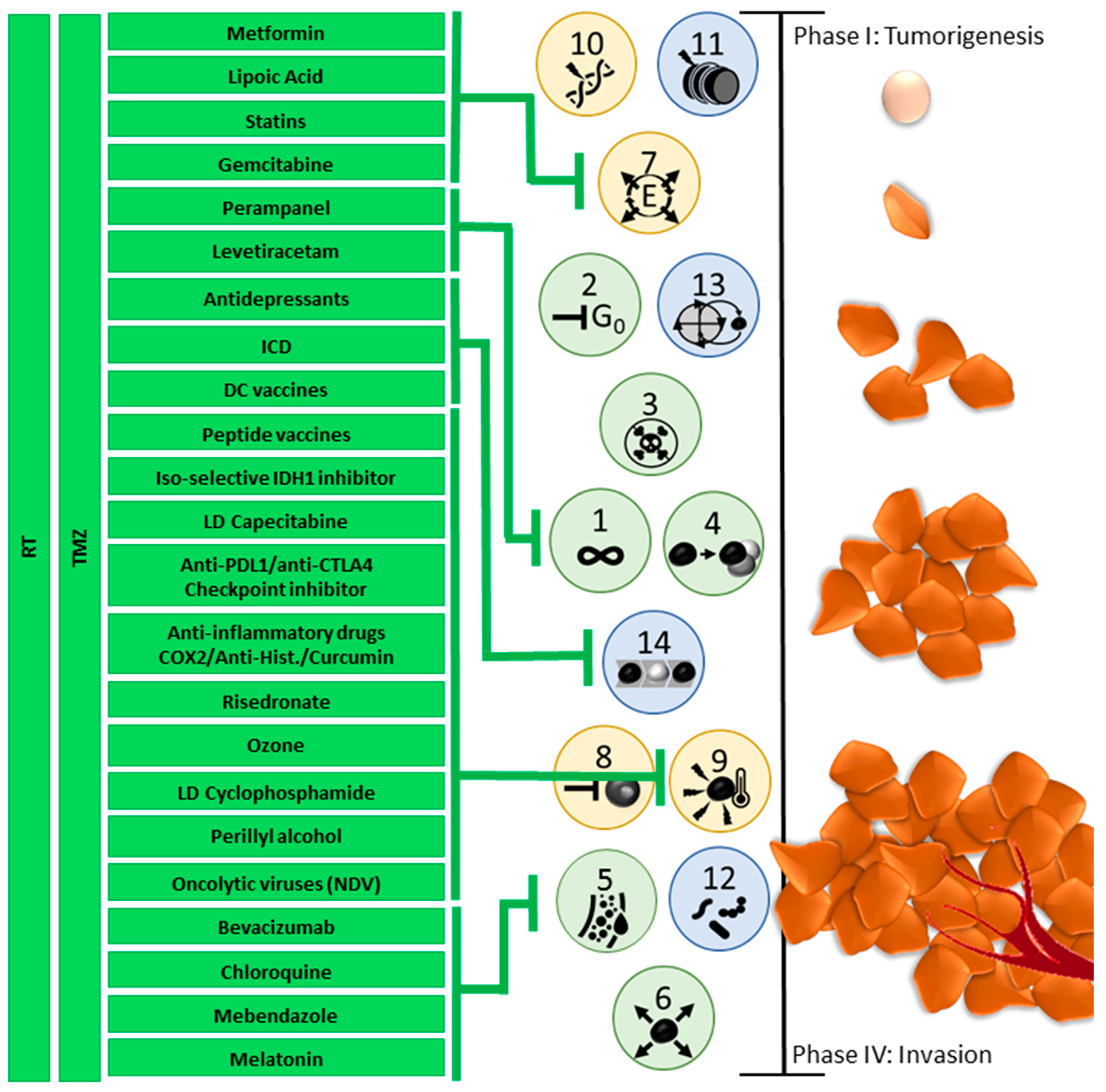 Cancers 17 00879 g008