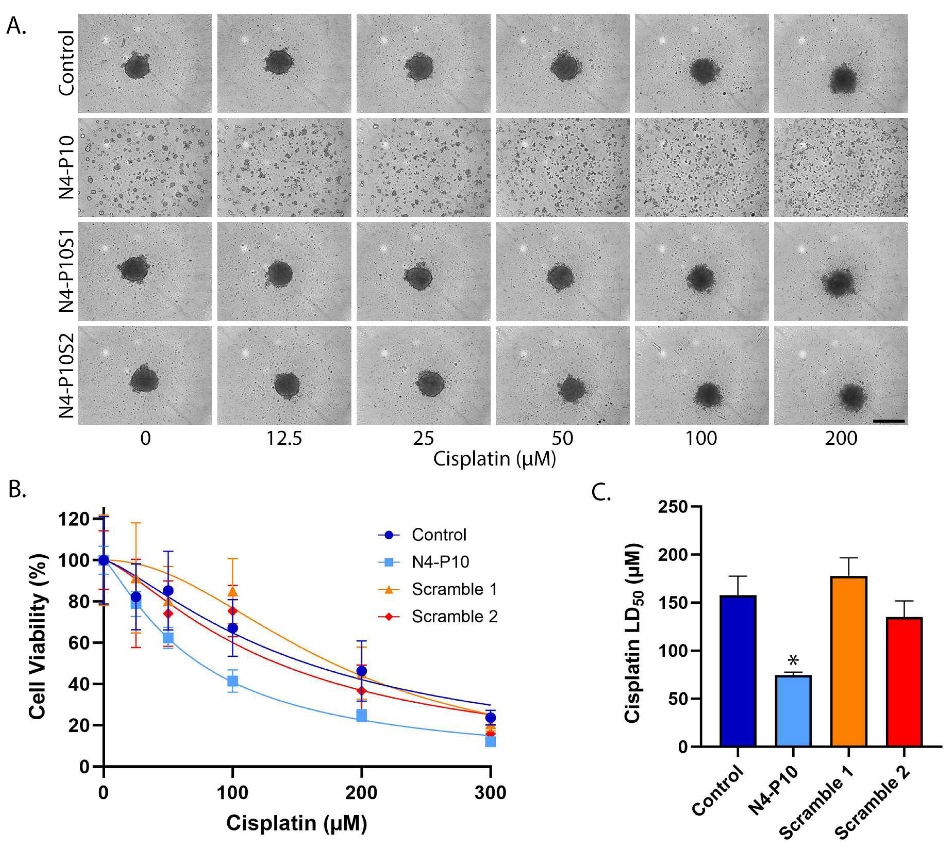 Cancers 17 00901 g001 Cancers 17 00901 g001