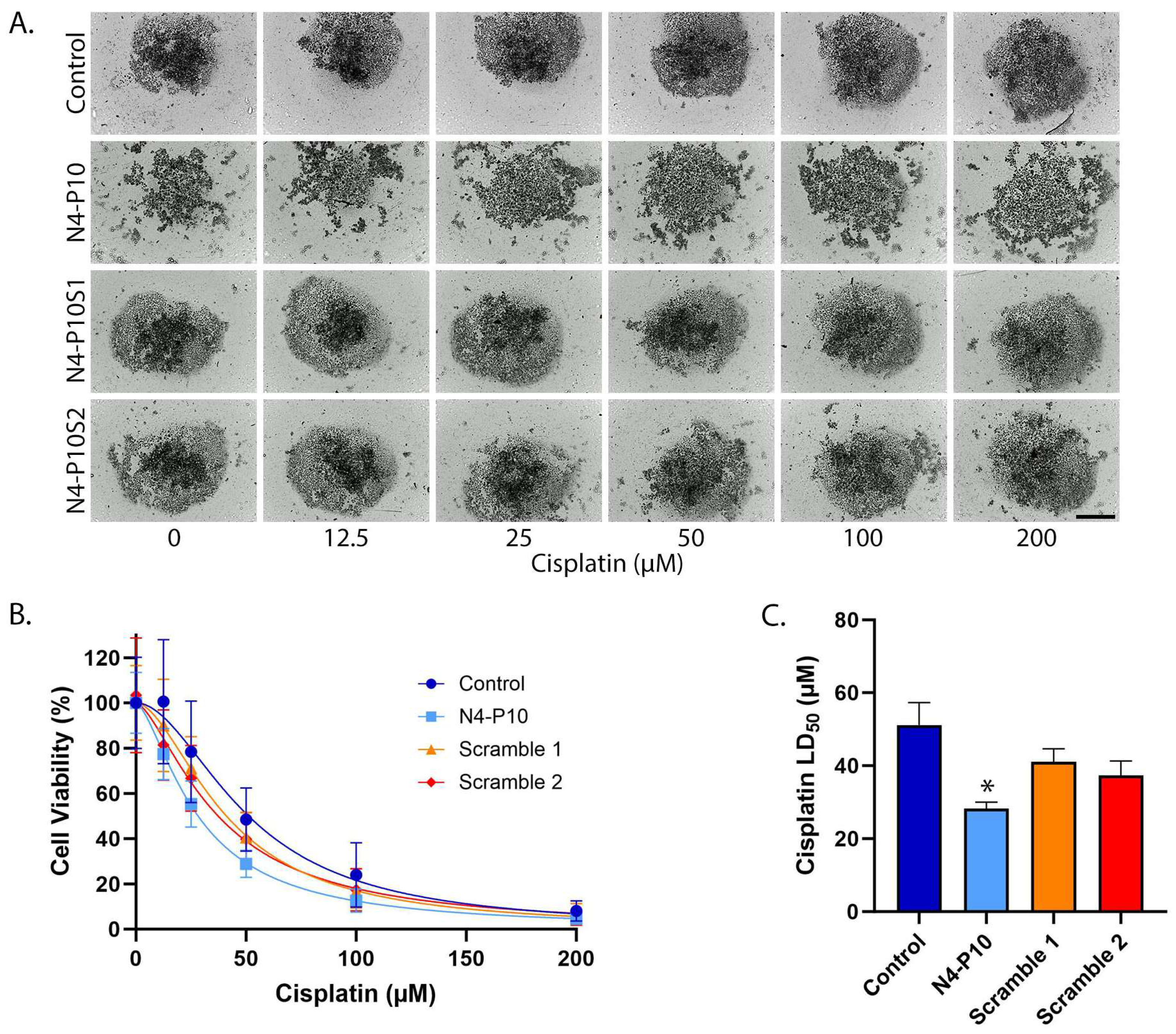 Cancers 17 00901 g002 Cancers 17 00901 g002
