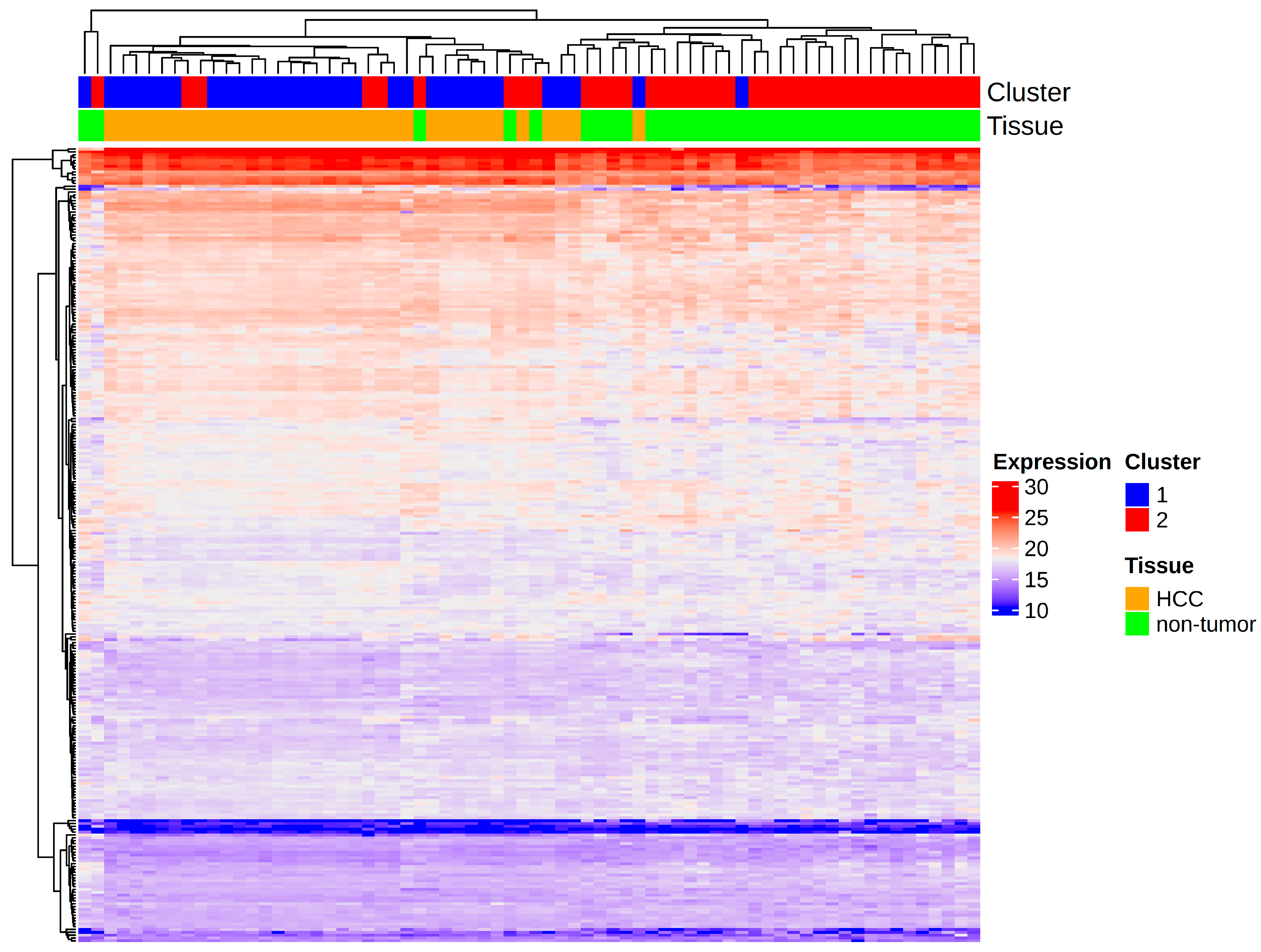 Cancers 17 00903 g003