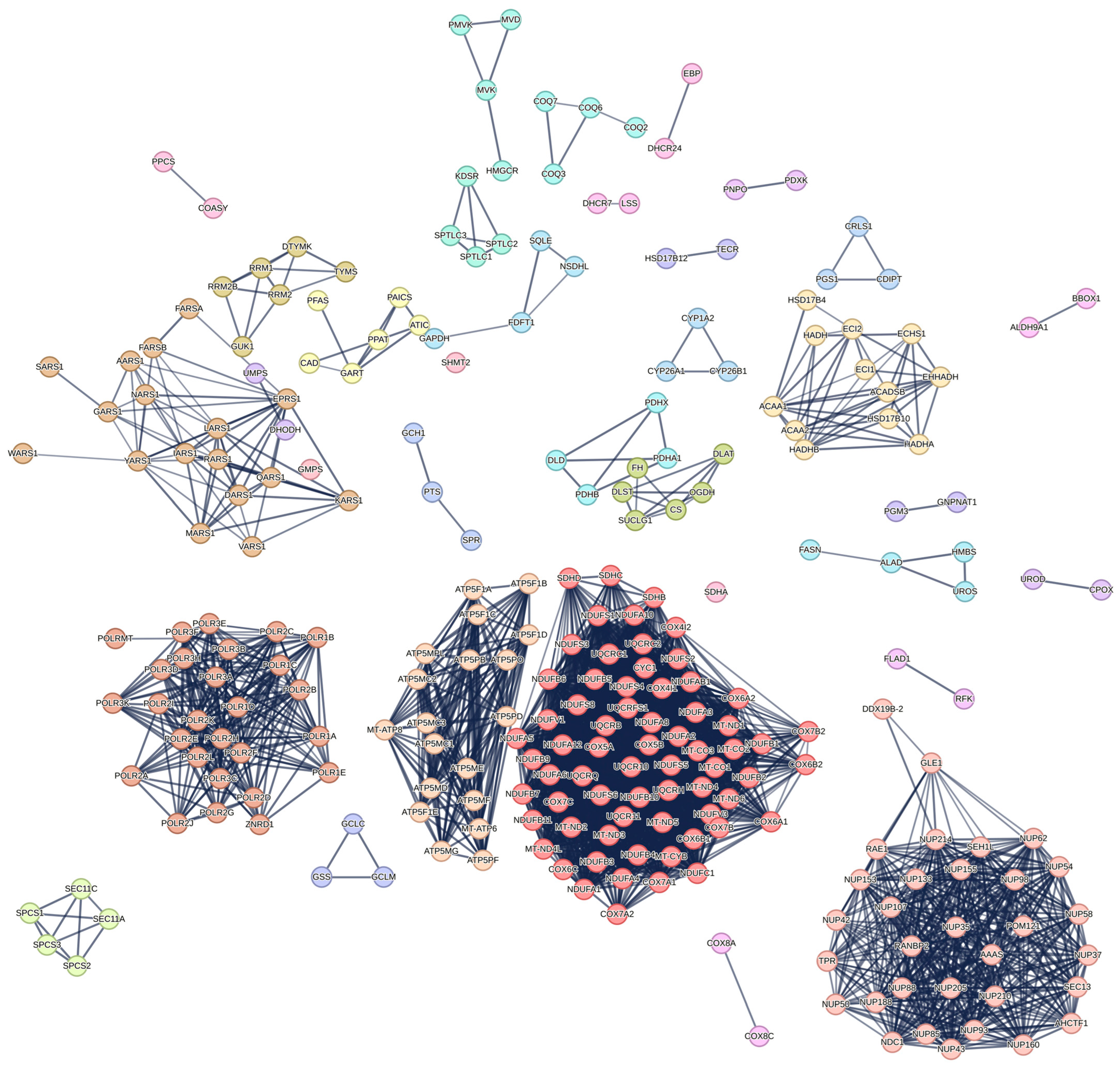 Cancers 17 00903 g004